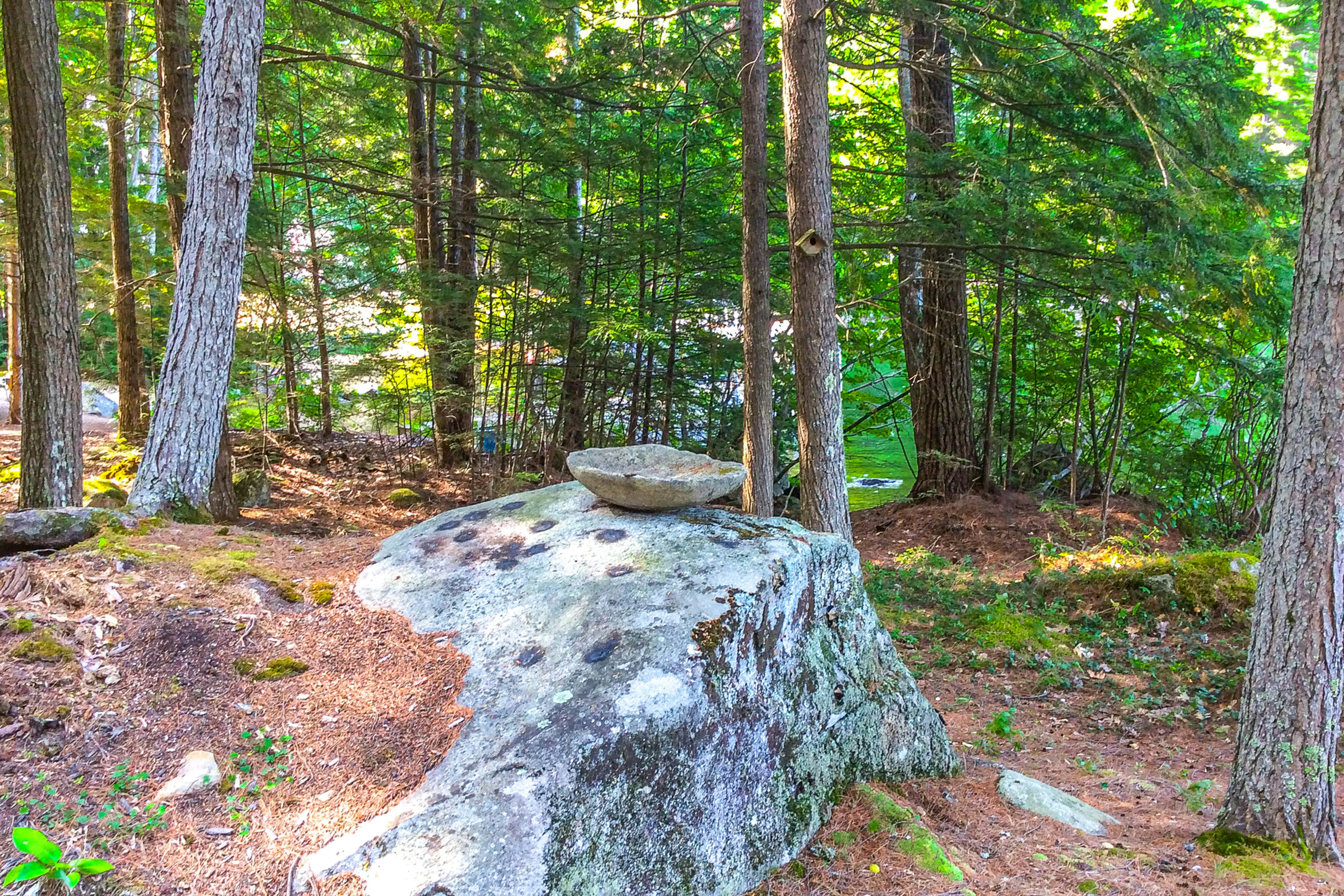 Lake Waukewan Chalet