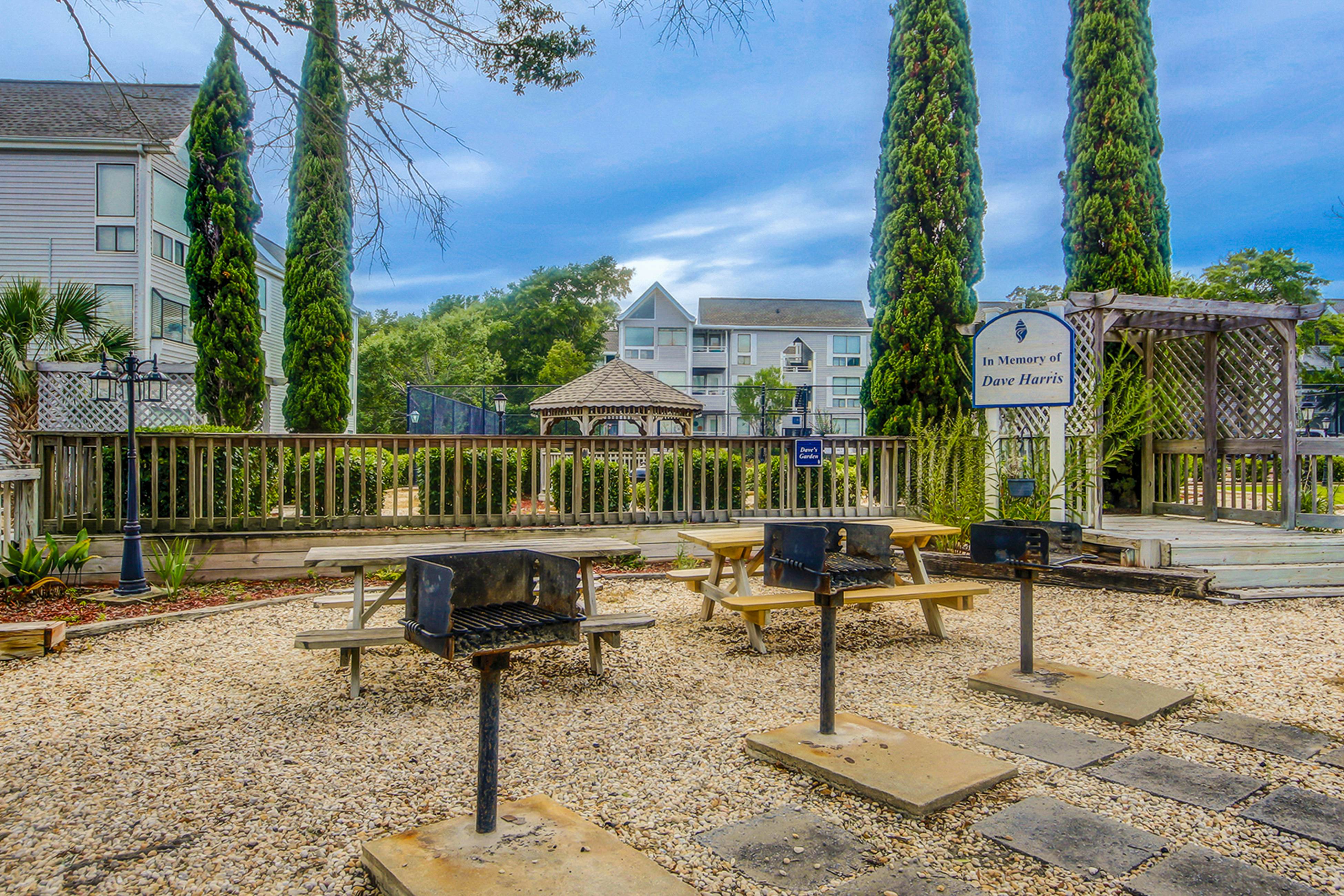 Arcadian Dunes 02-208