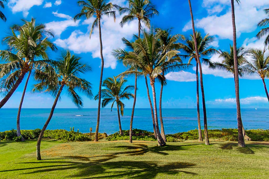 Hale Kai O Kihei 312 | 1 Bed Kihei, HI Condo | Vacasa