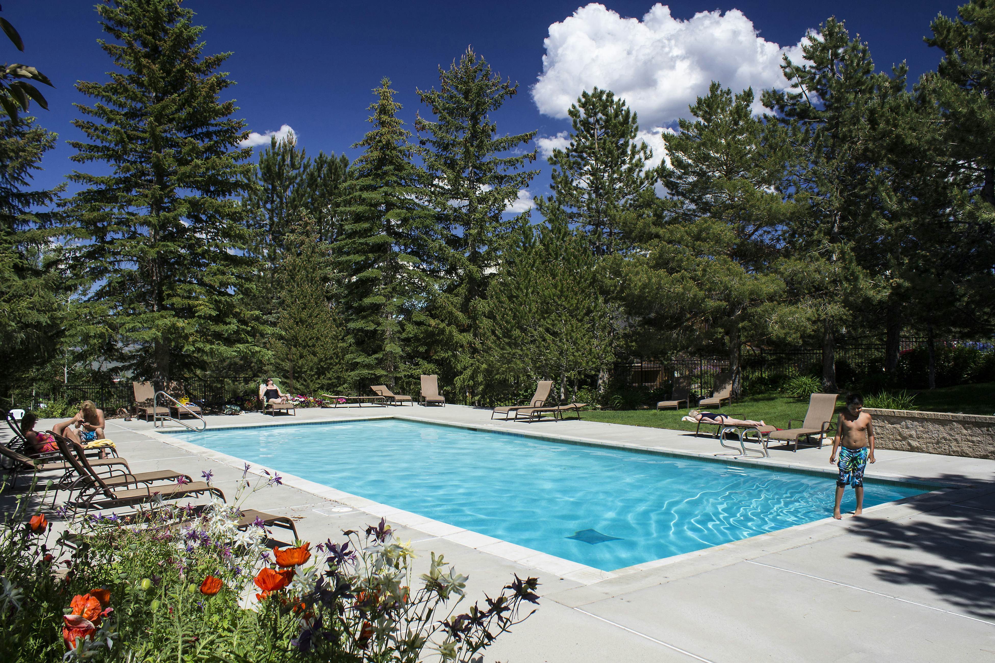 Red Pine Ponderosa #P3