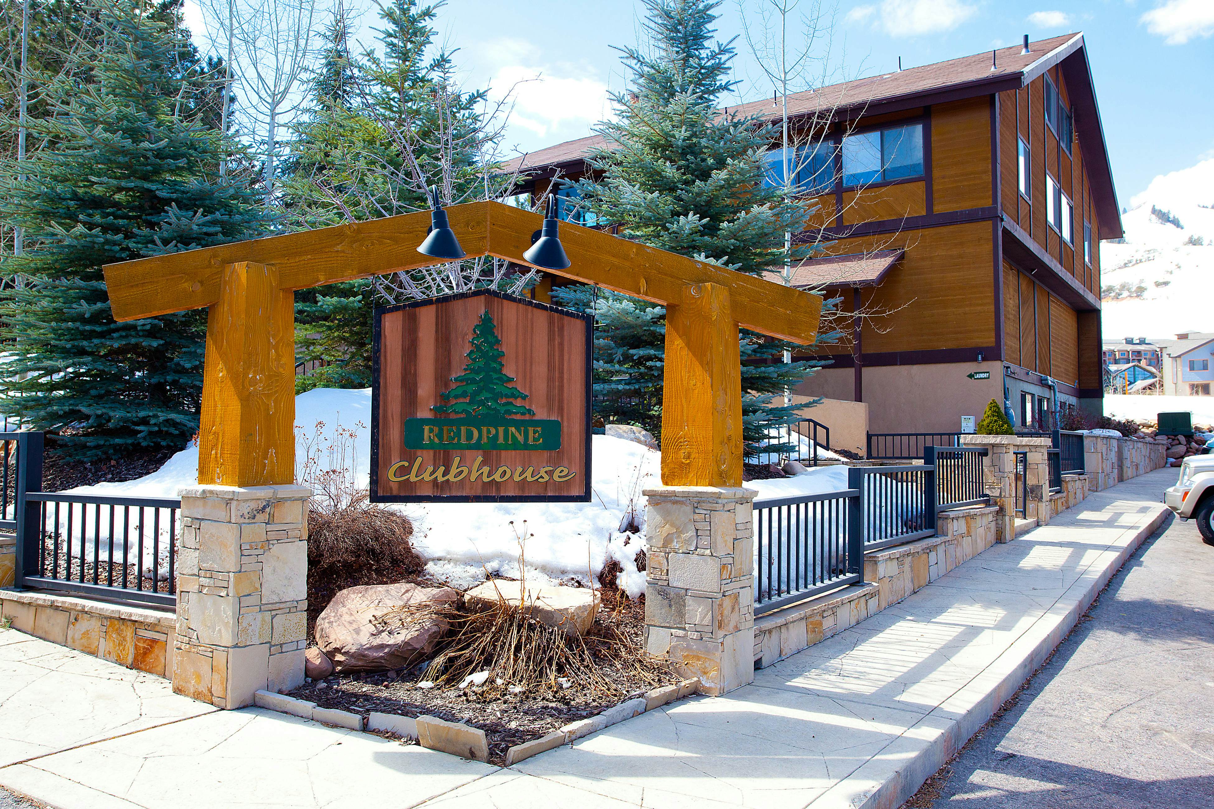 Red Pine Ponderosa #P3