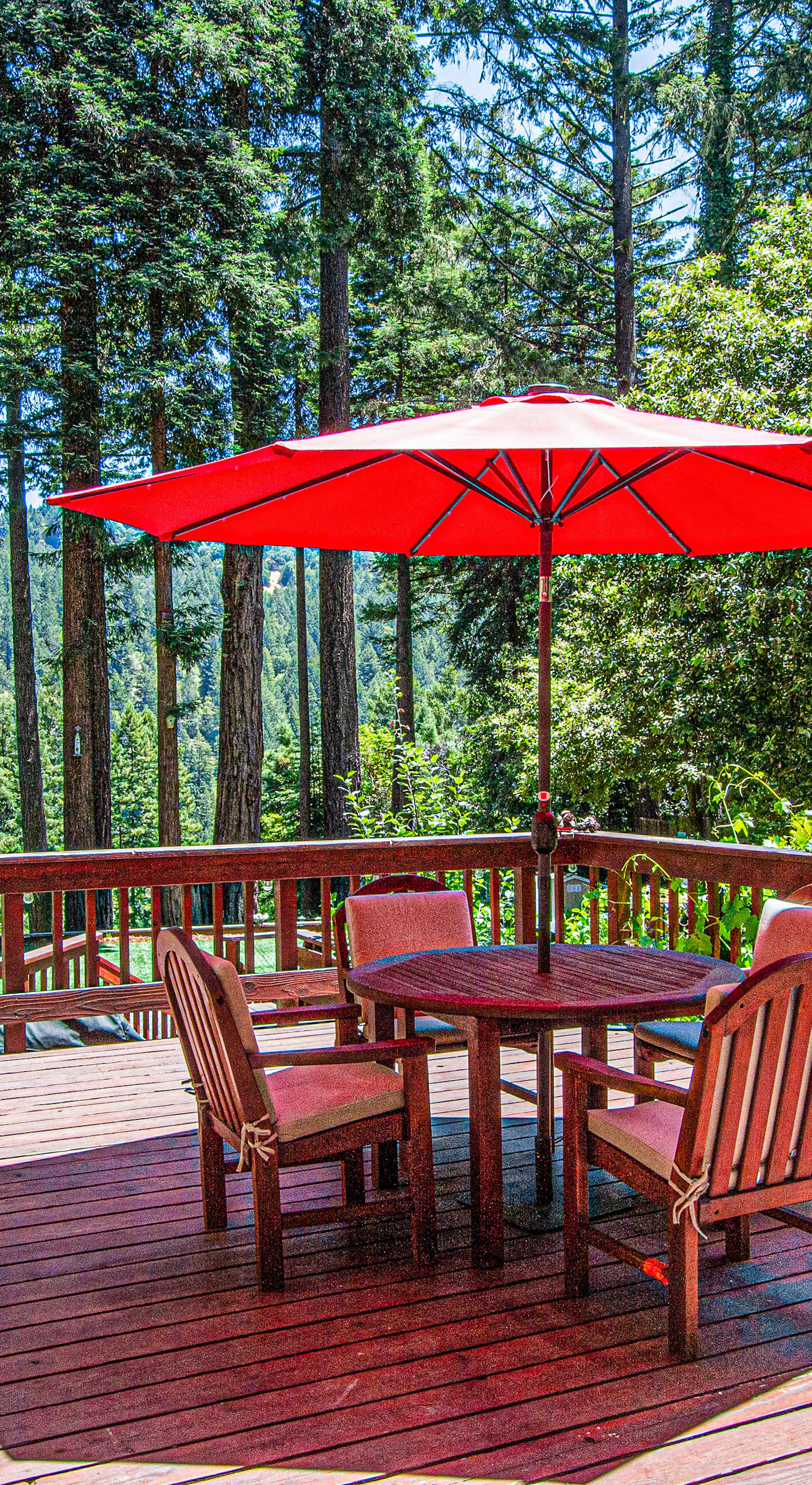 Savor your morning coffee on the spacious redwood deck — a shaded dining table for four awaits under a vibrant umbrella with forest canopy views all around.