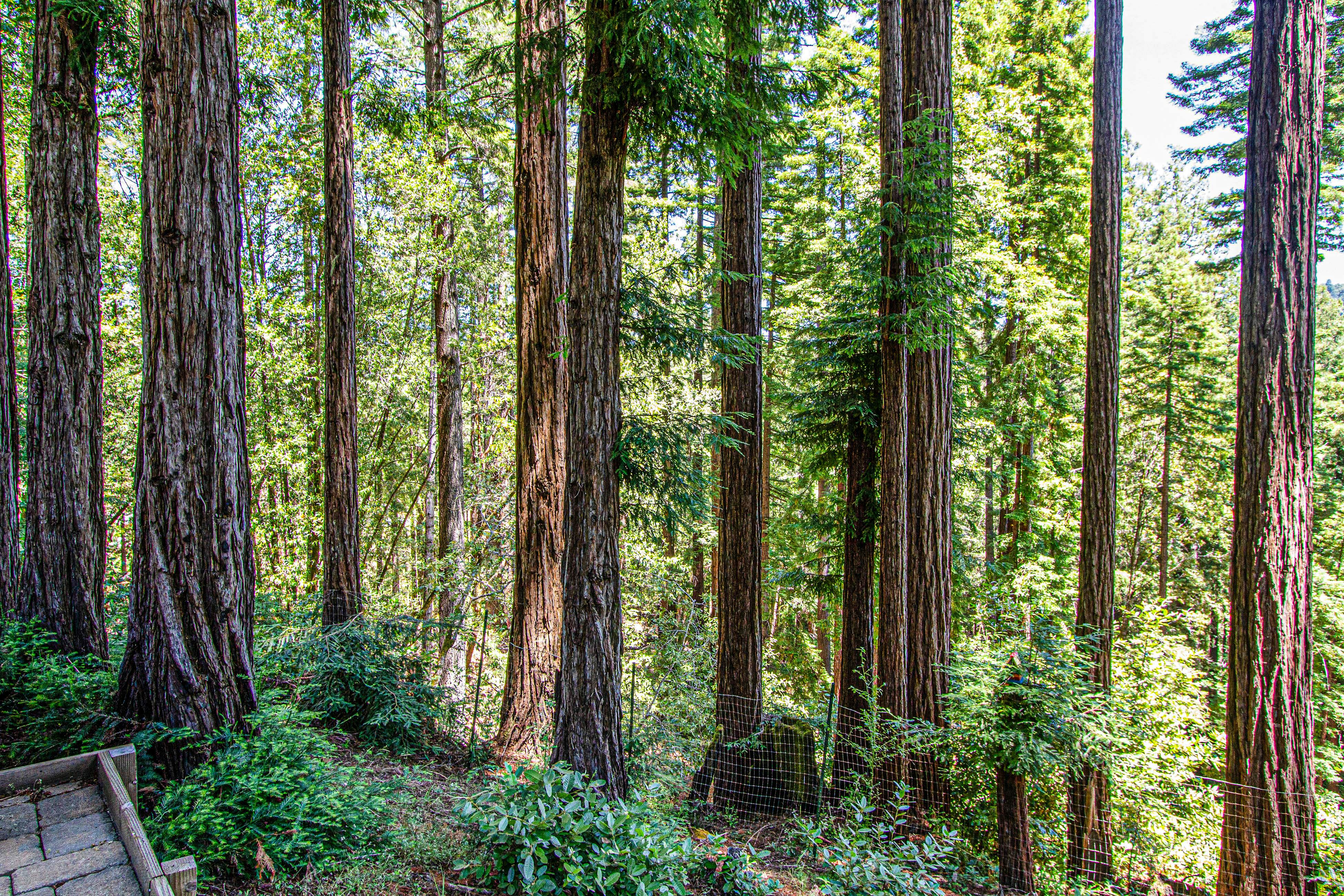 Sunrise Mountain Retreat