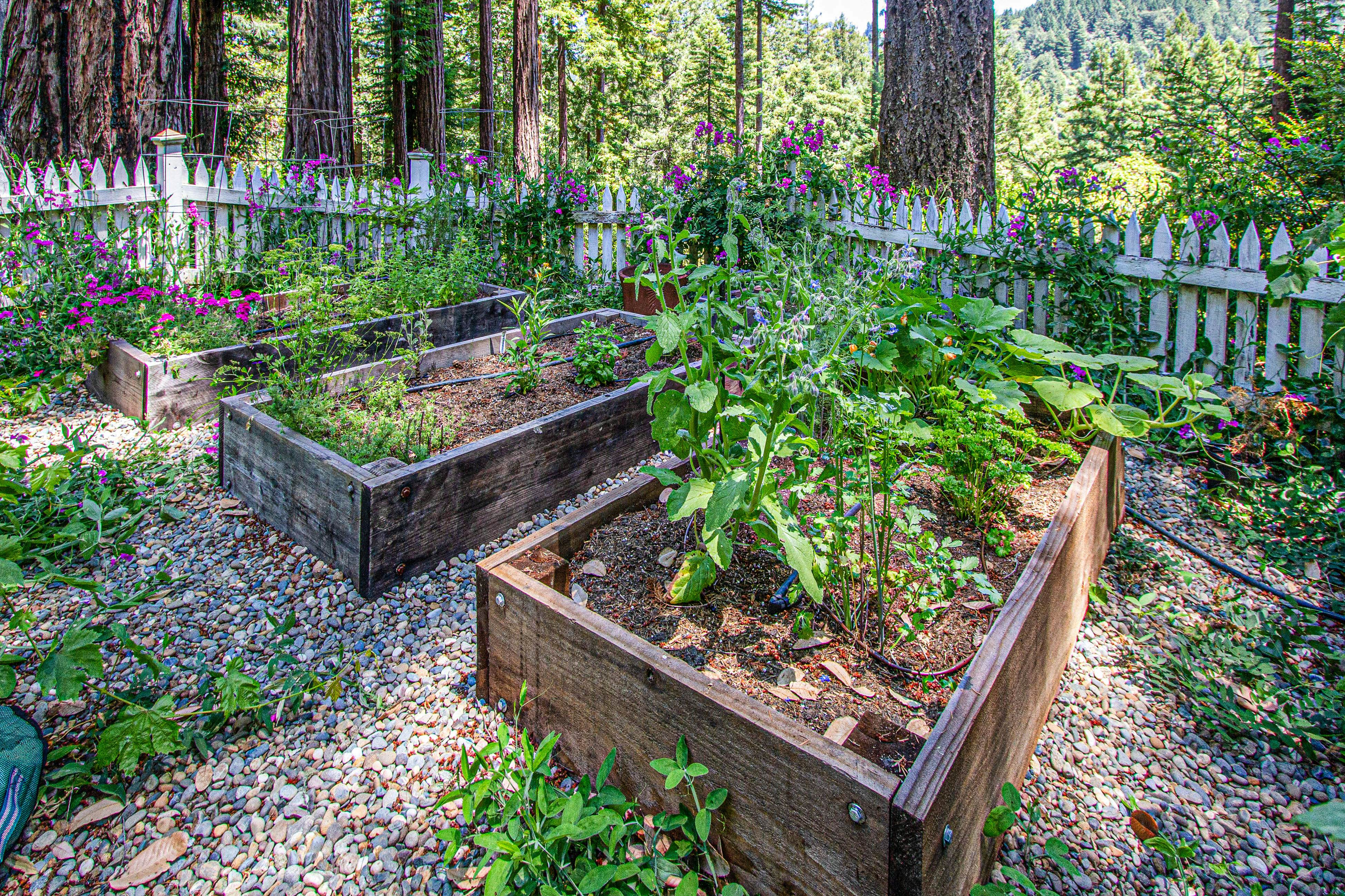 Sunrise Mountain Retreat