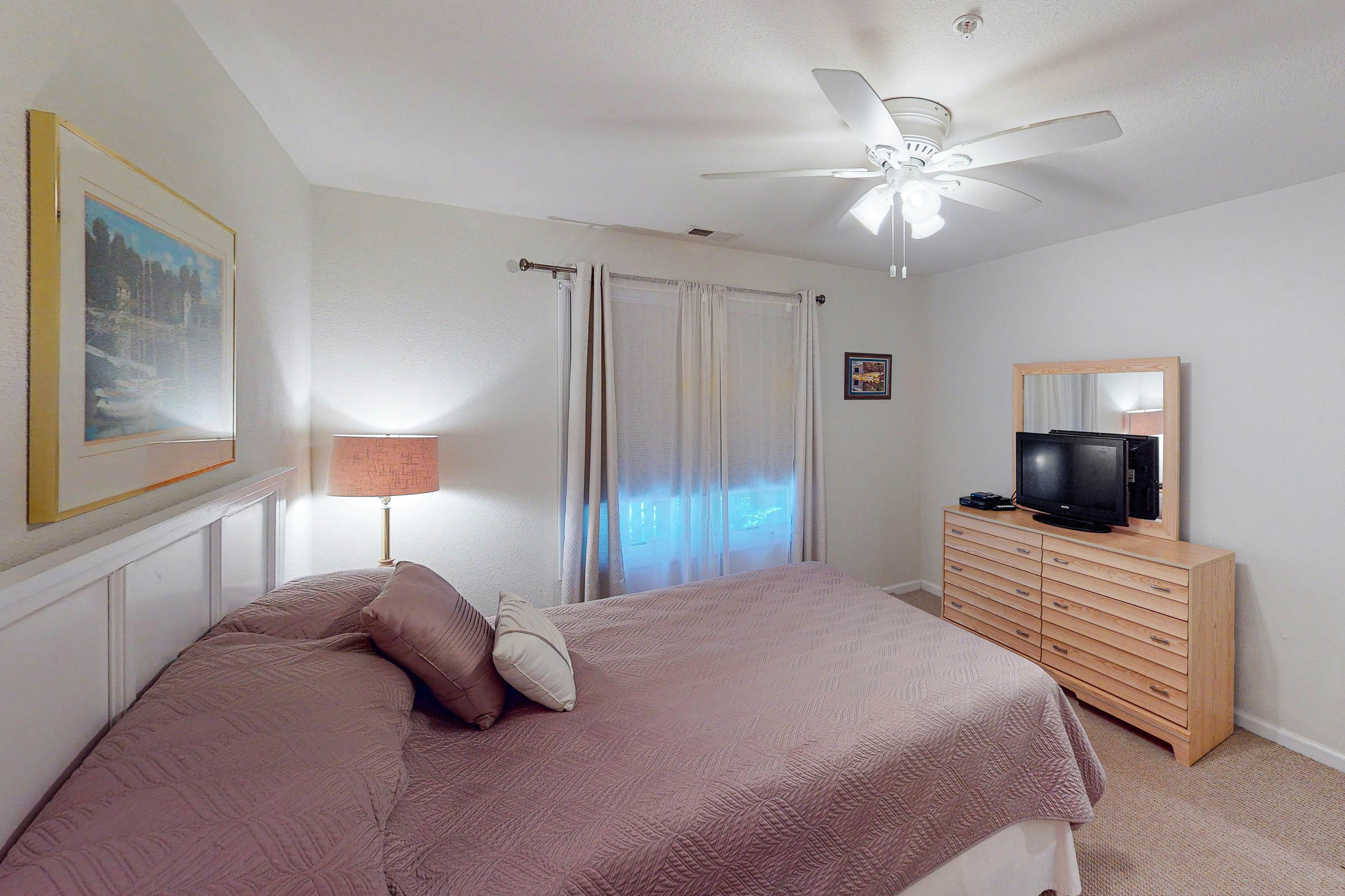 Seaside C103- Sand Dollar 