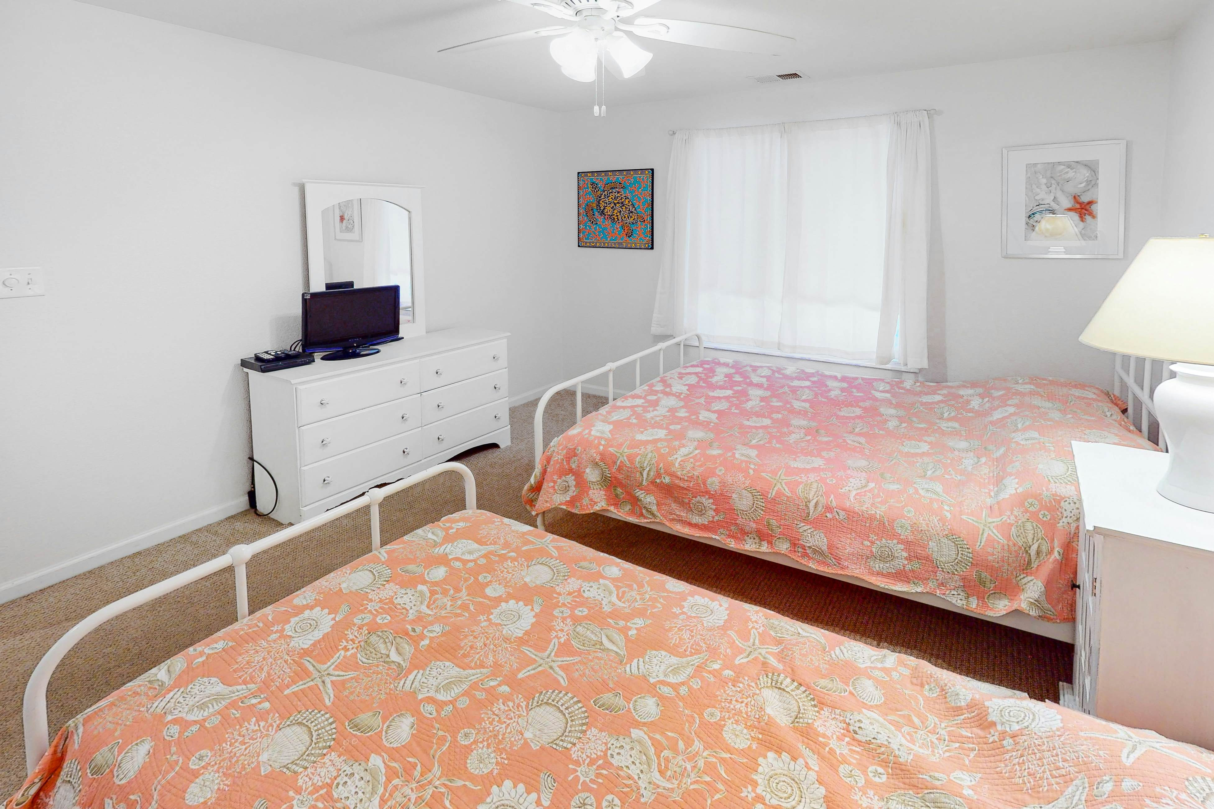 Seaside C103- Sand Dollar 