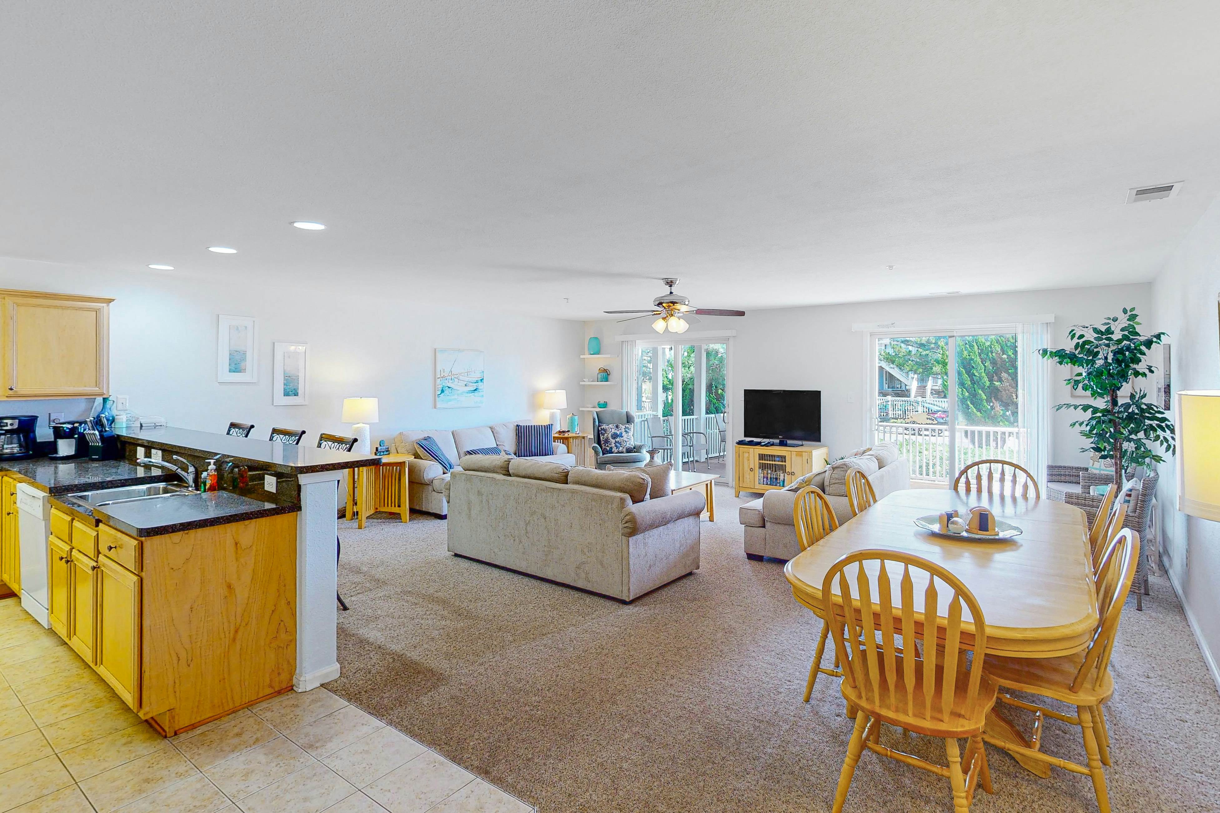 Seaside C103- Sand Dollar 