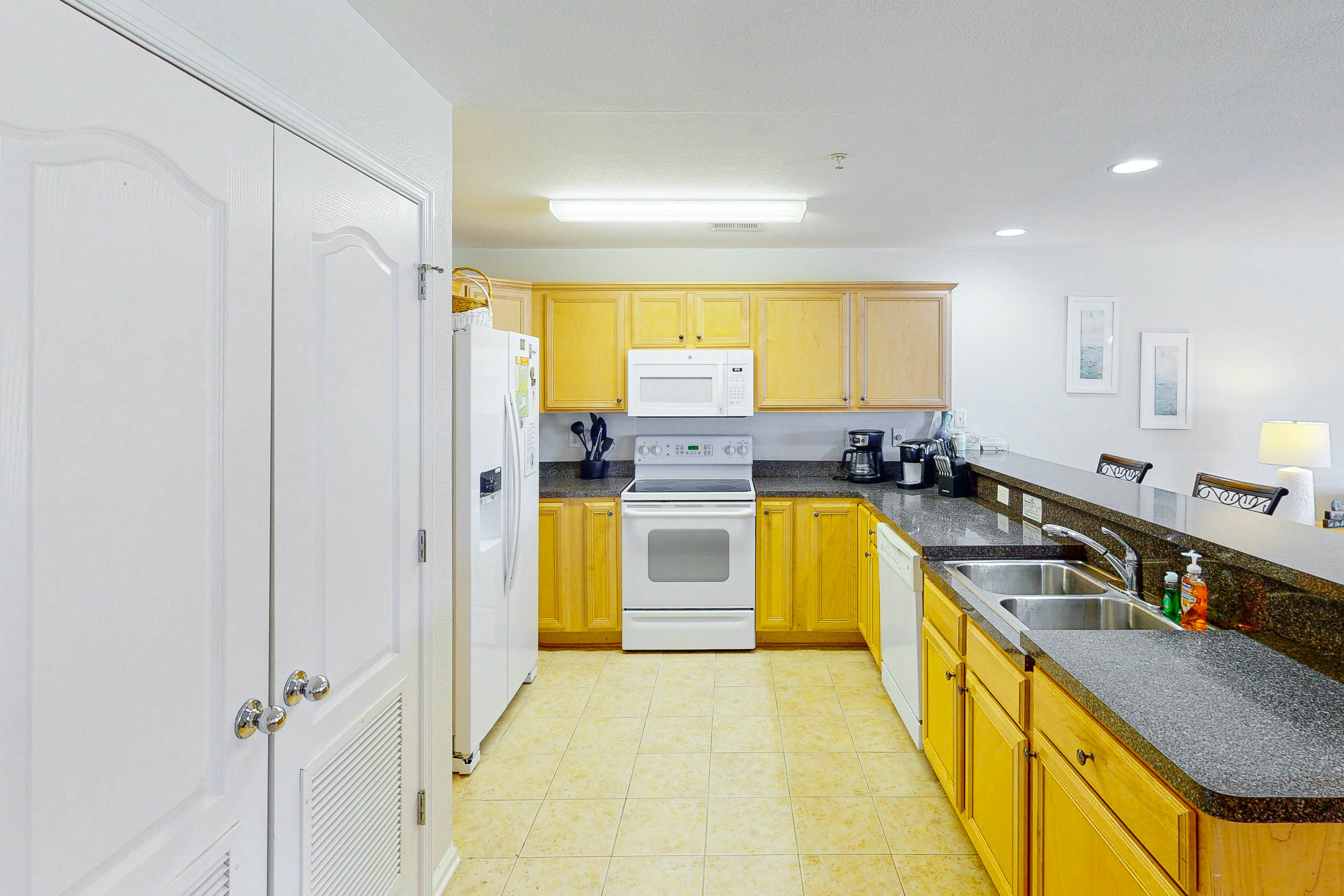 Seaside C103- Sand Dollar 