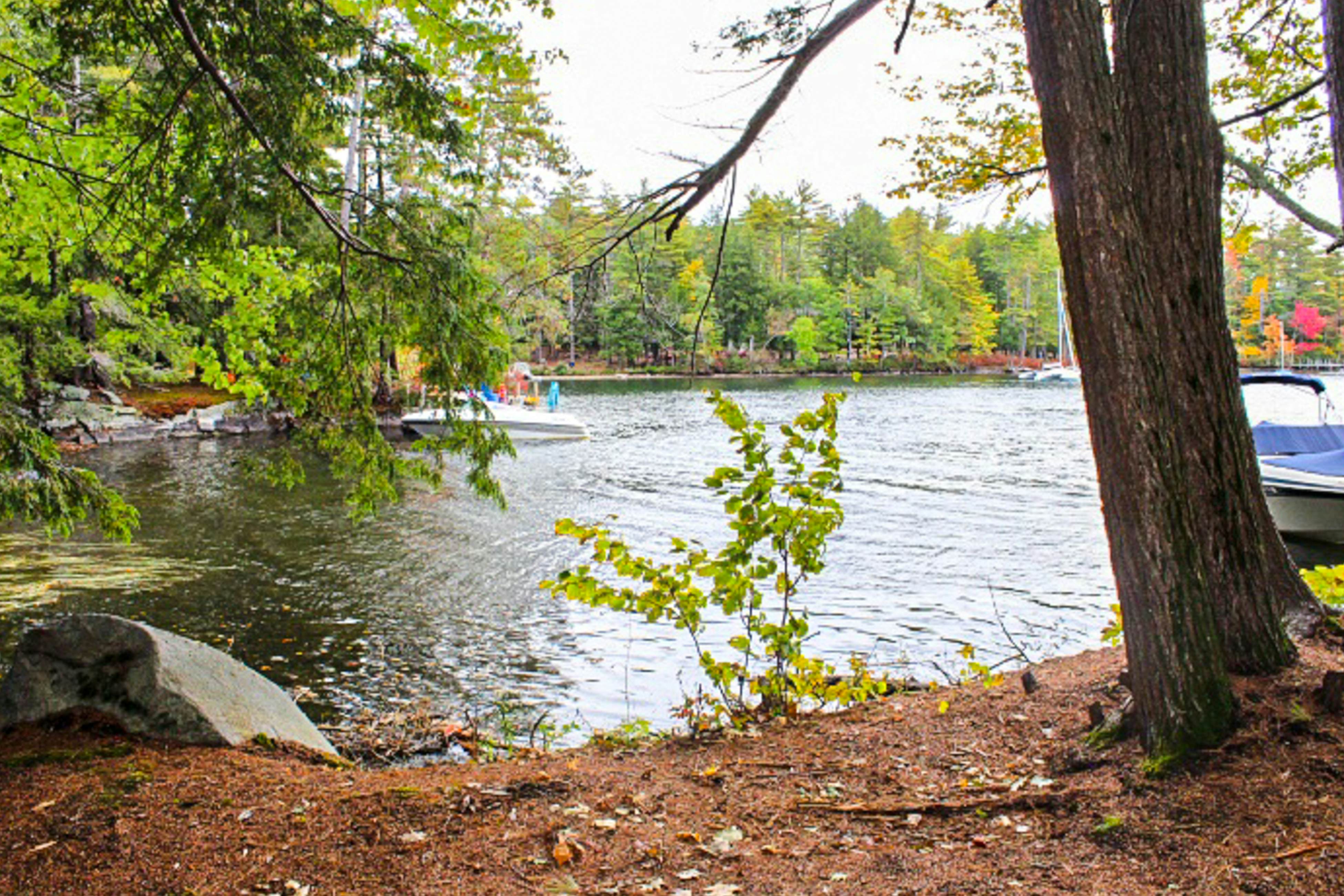 Waterfront Delight near Fish Cove