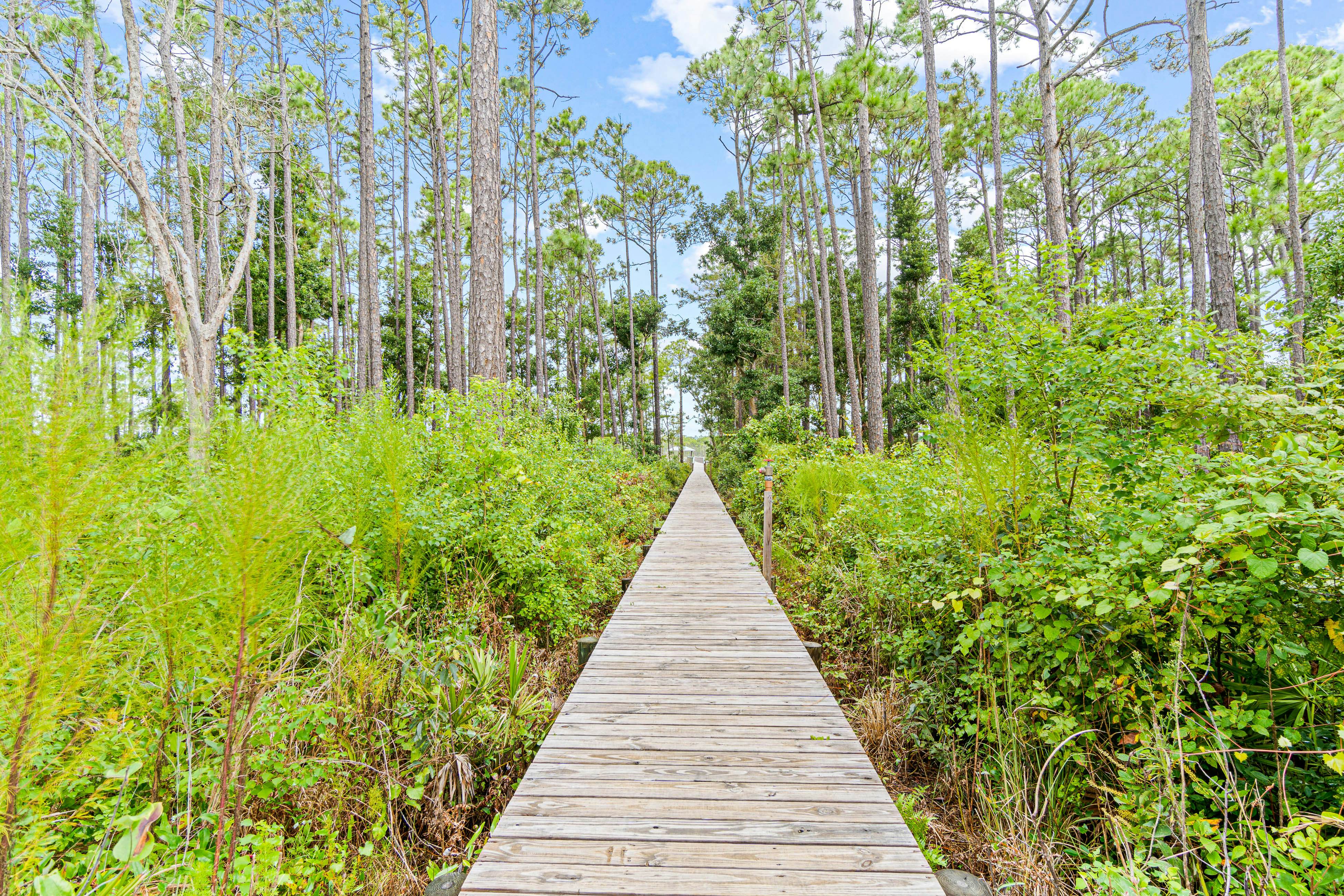 Perdido Paradise - Redfish Harbor