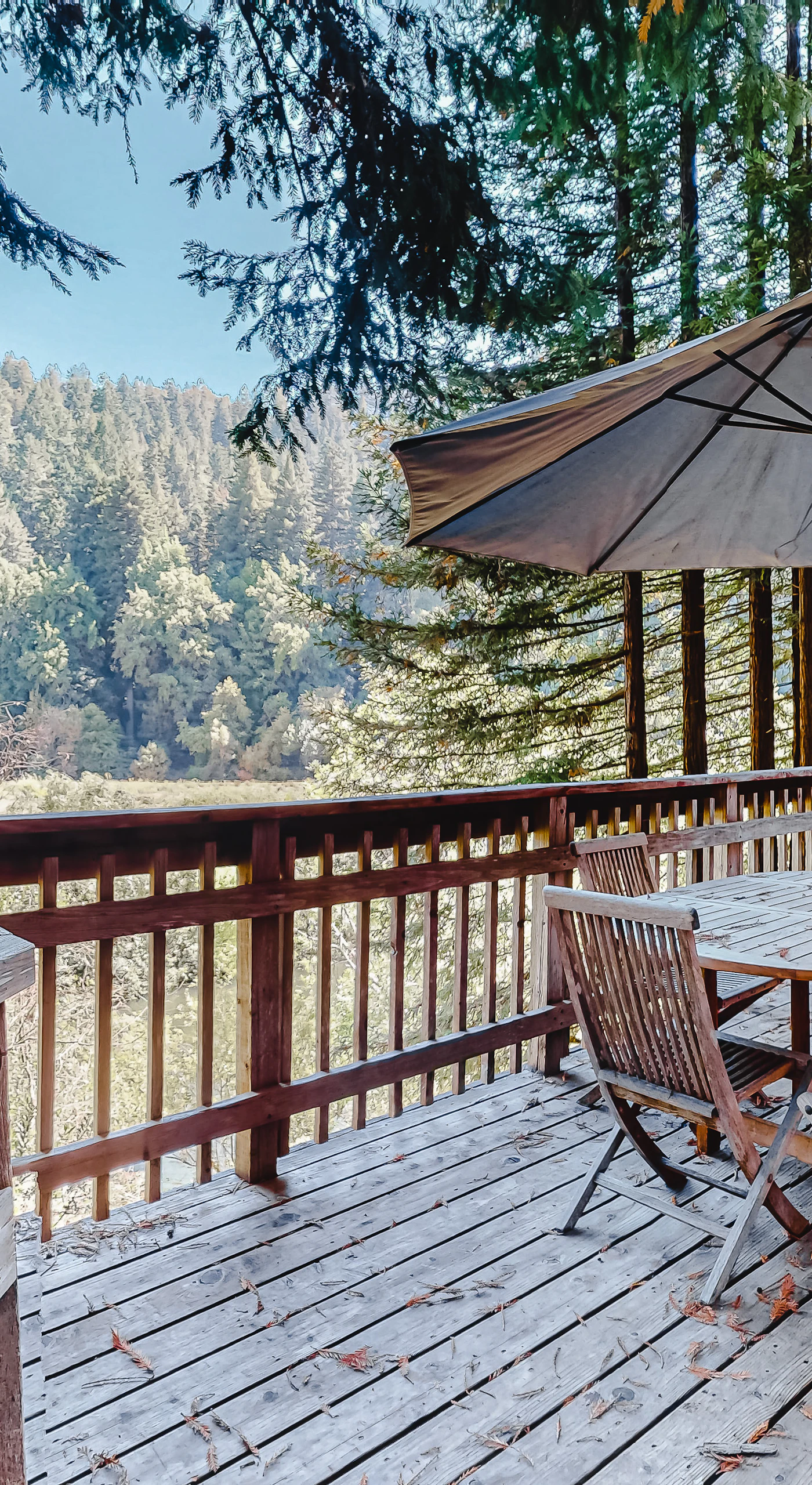 Breathe in the redwood-scented air from your private deck — an umbrella-shaded dining table sets the stage for leisurely vineyard picnic lunches.