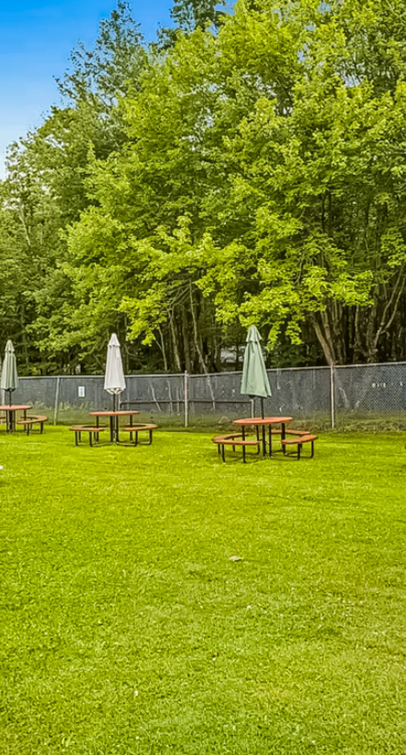 The Cozy Cabin 2 BD Albrightsville, PA Vacation Rental Vacasa