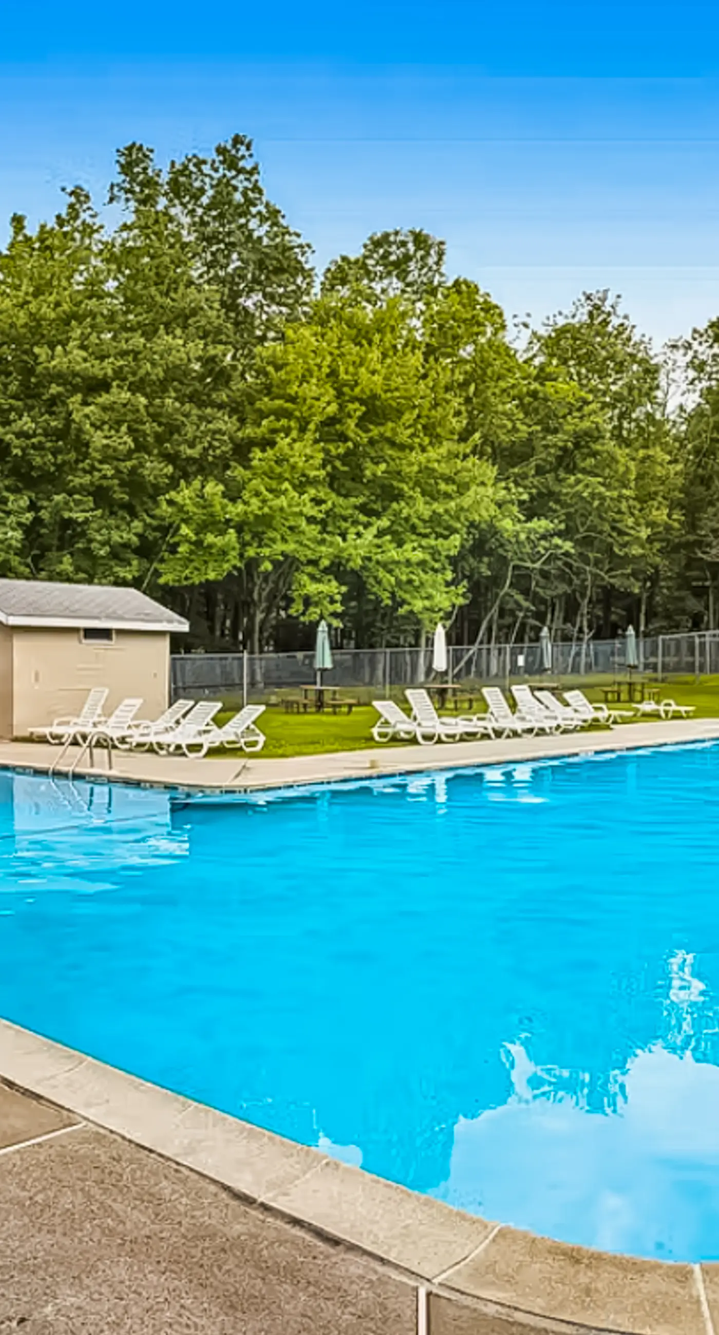 The Cozy Cabin 2 BD Albrightsville, PA Vacation Rental Vacasa