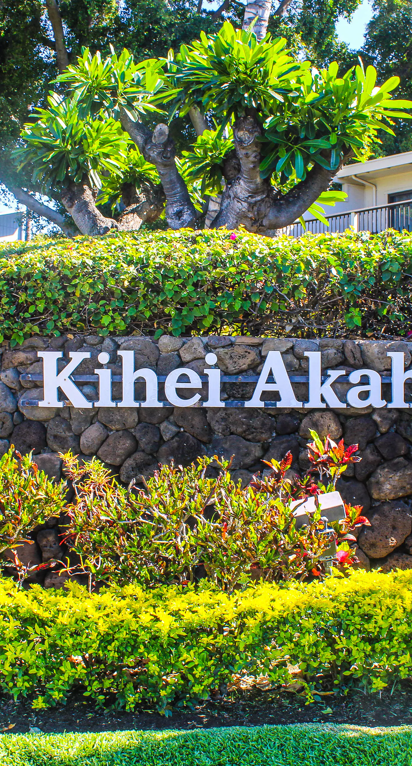 Kihei Akahi C515
