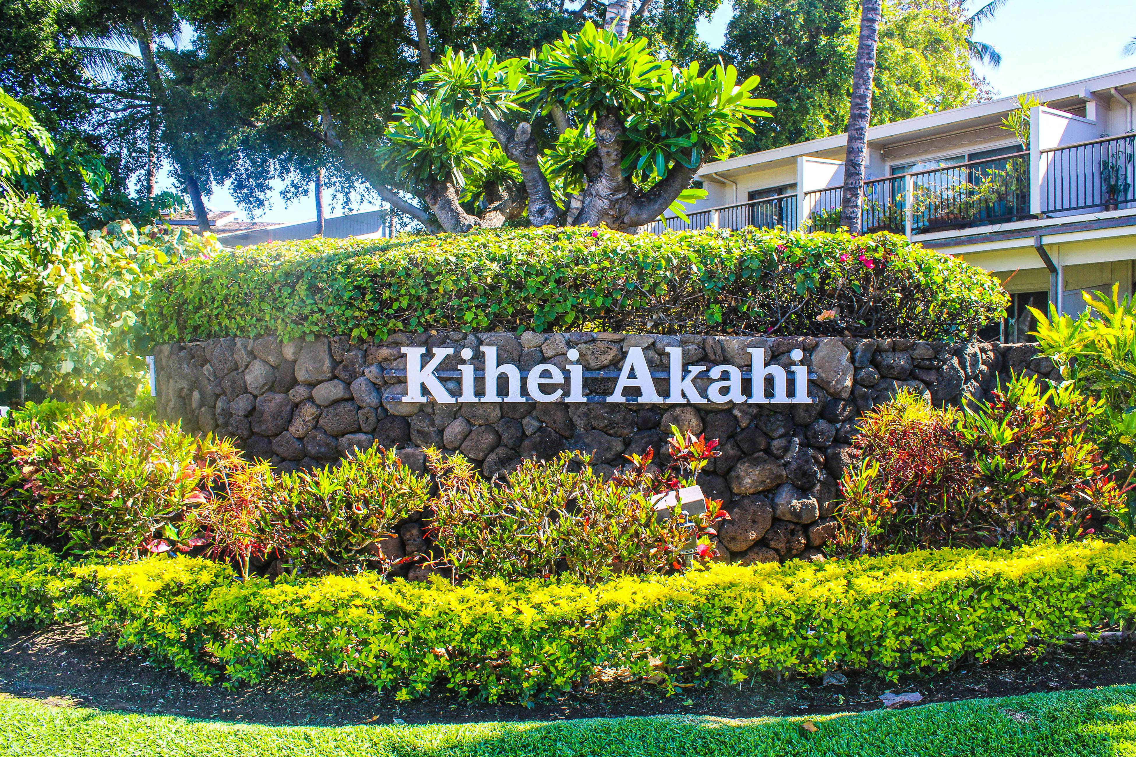 Kihei Akahi DG09