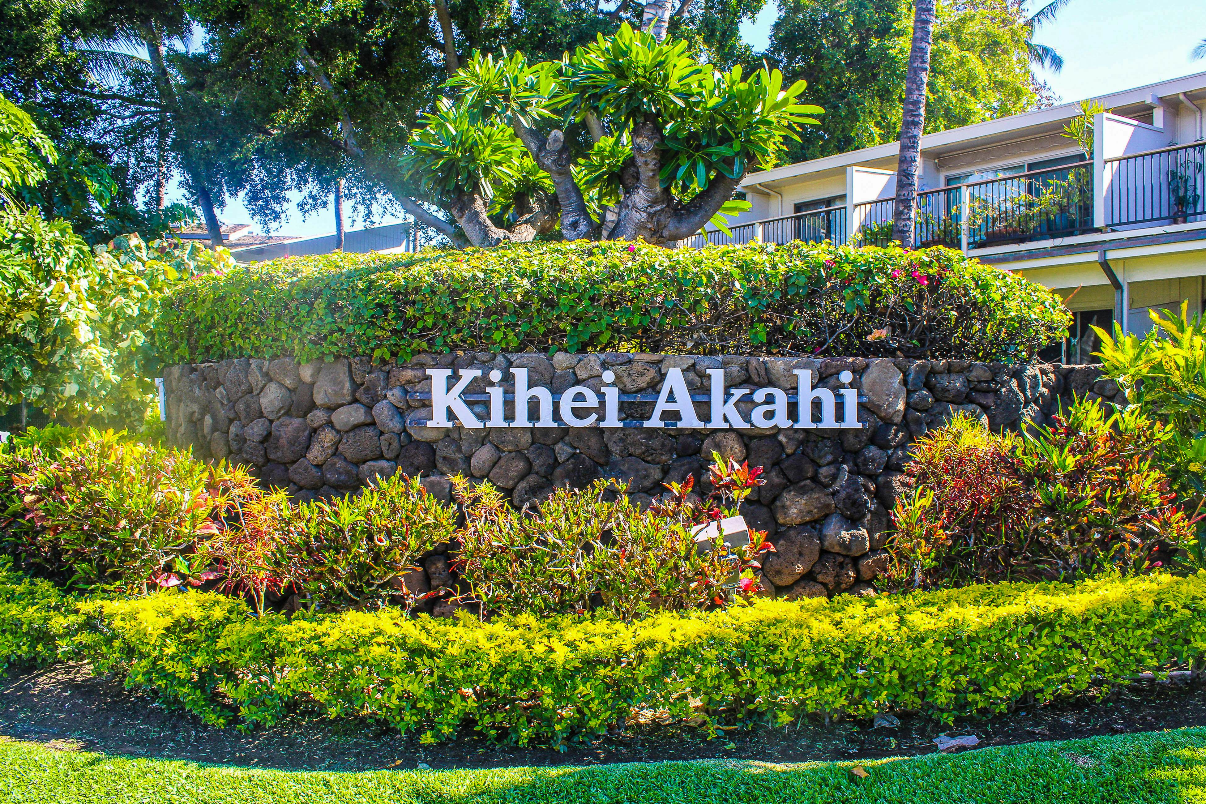 Kihei Akahi D401