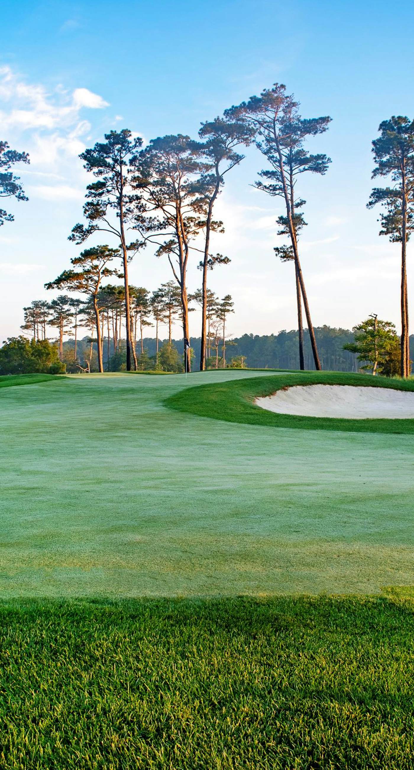 Bayside Resort - 29070 Sea Bird Ct