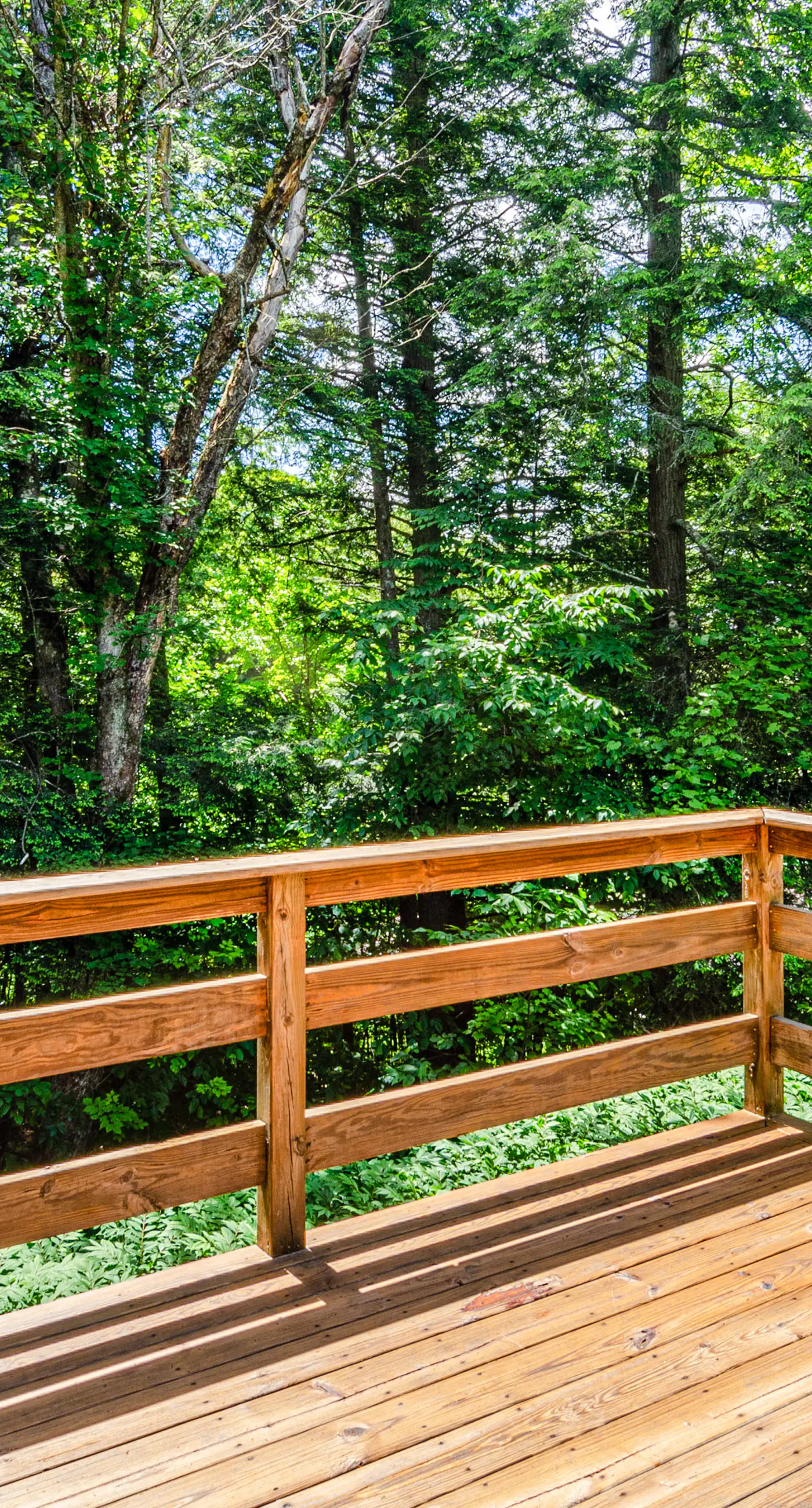 Coolidge Drive Retreat