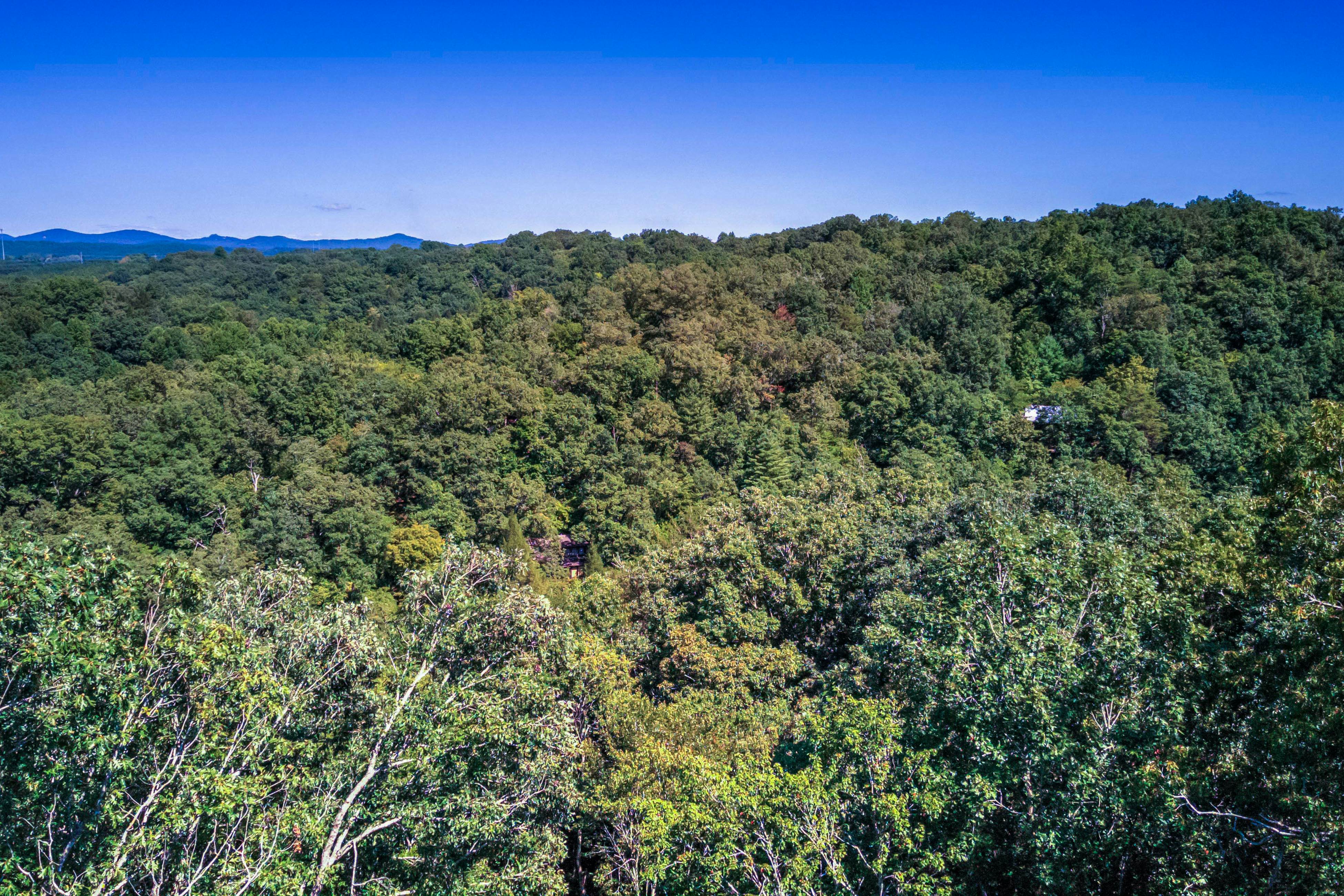 Grizzly Cabin 4 BD McCaysville, GA Vacation Rental Vacasa