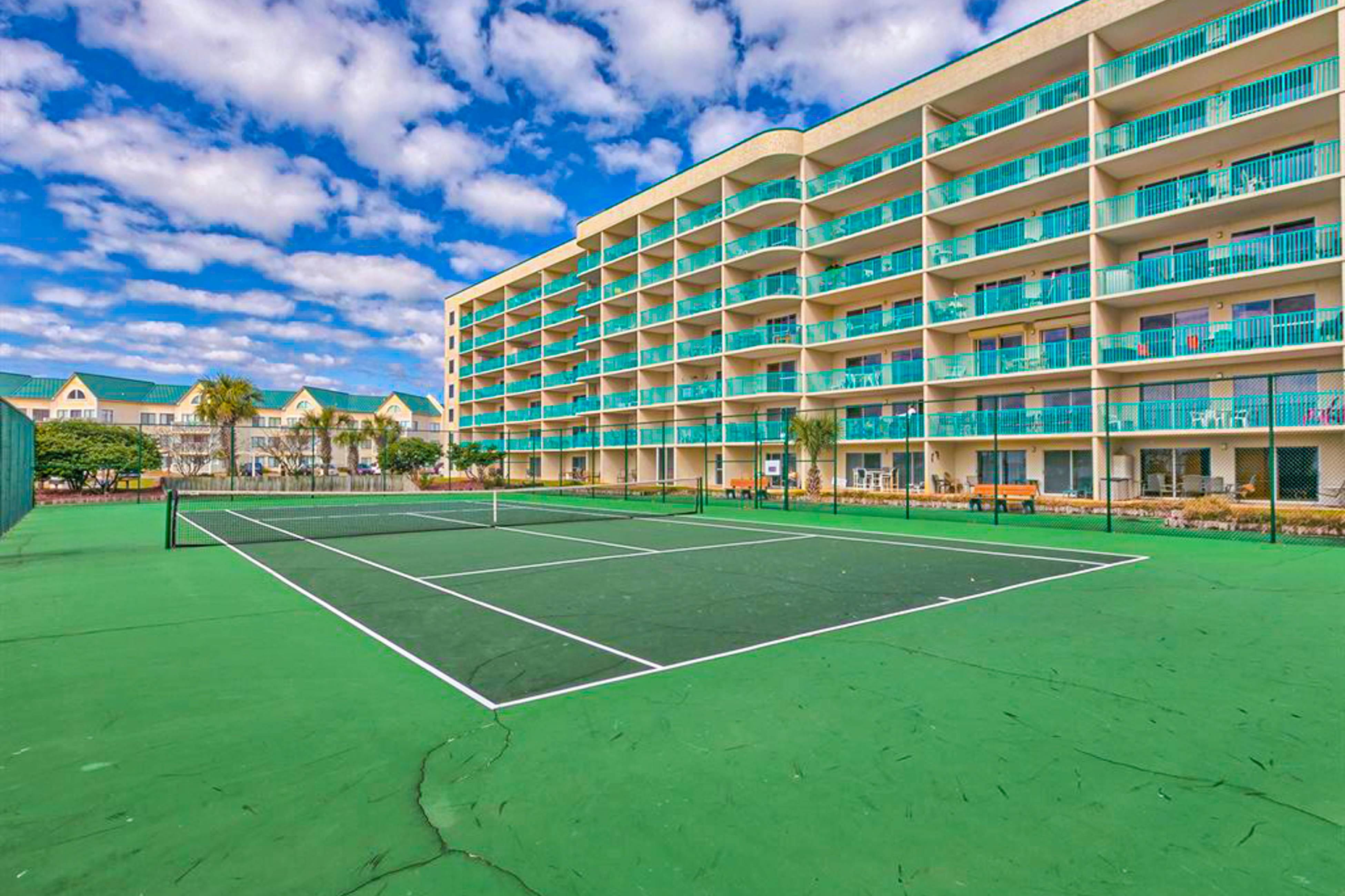 Plantation Palms #6503