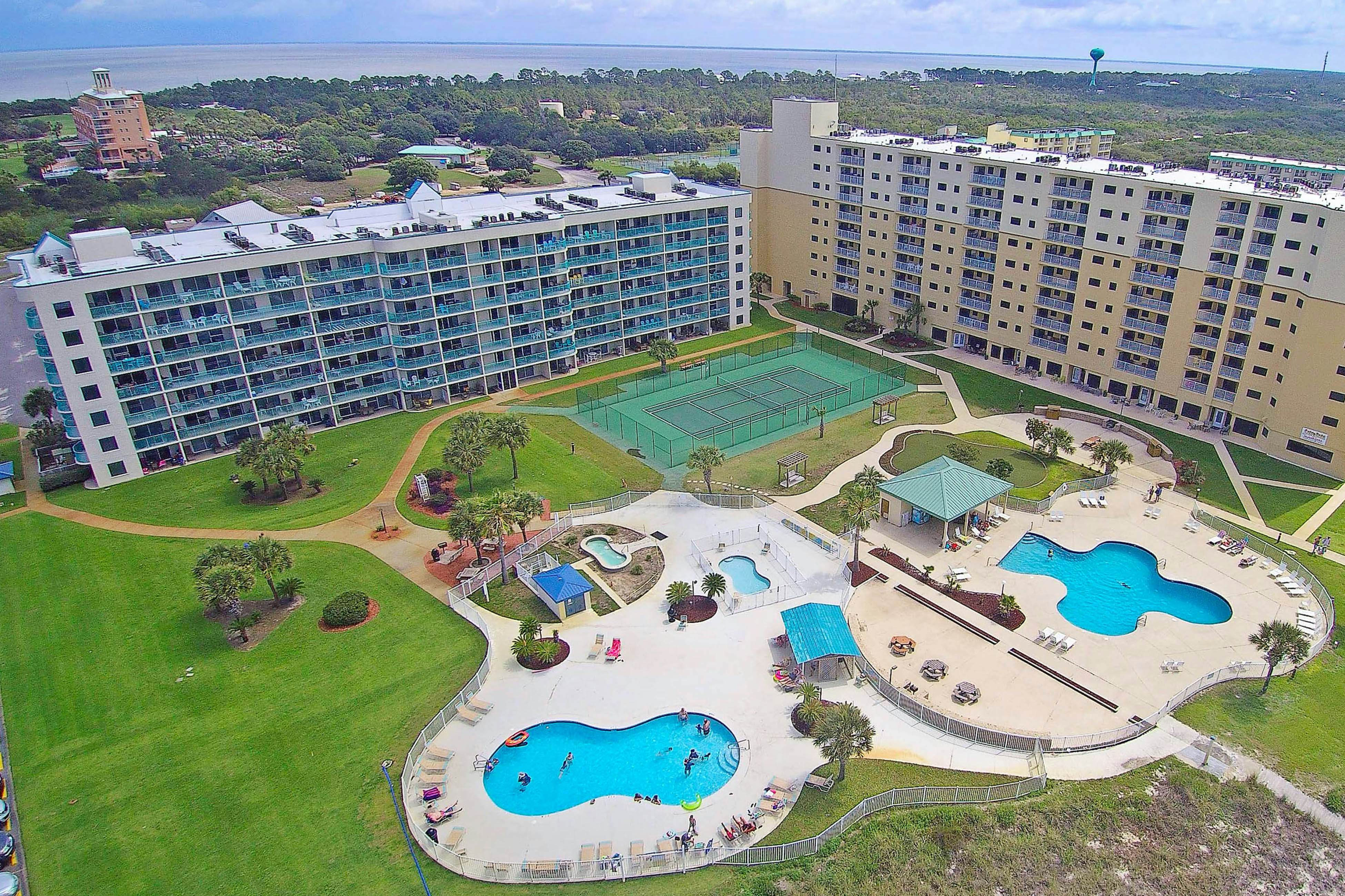 Plantation Palms #6503