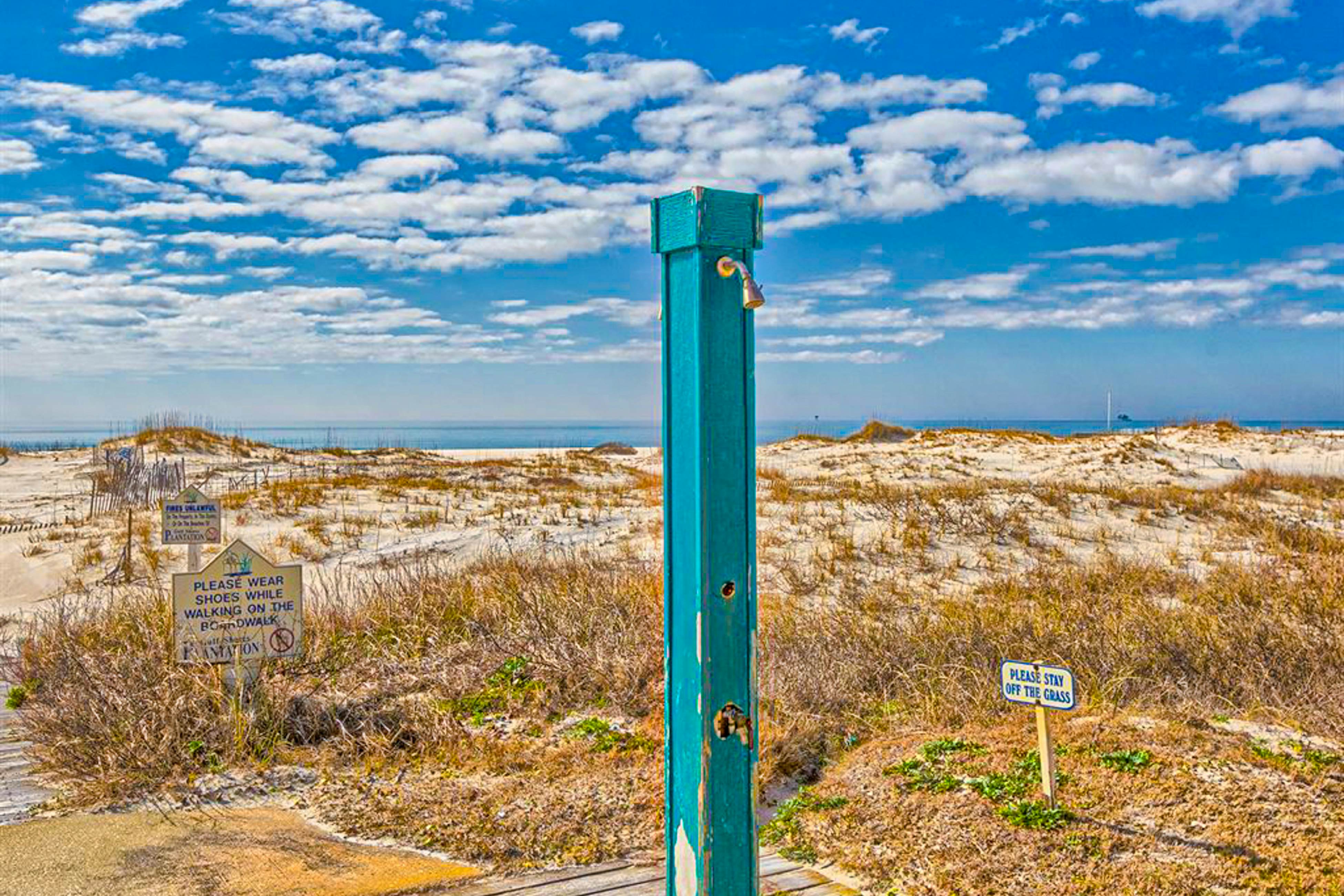 Plantation Palms #6503