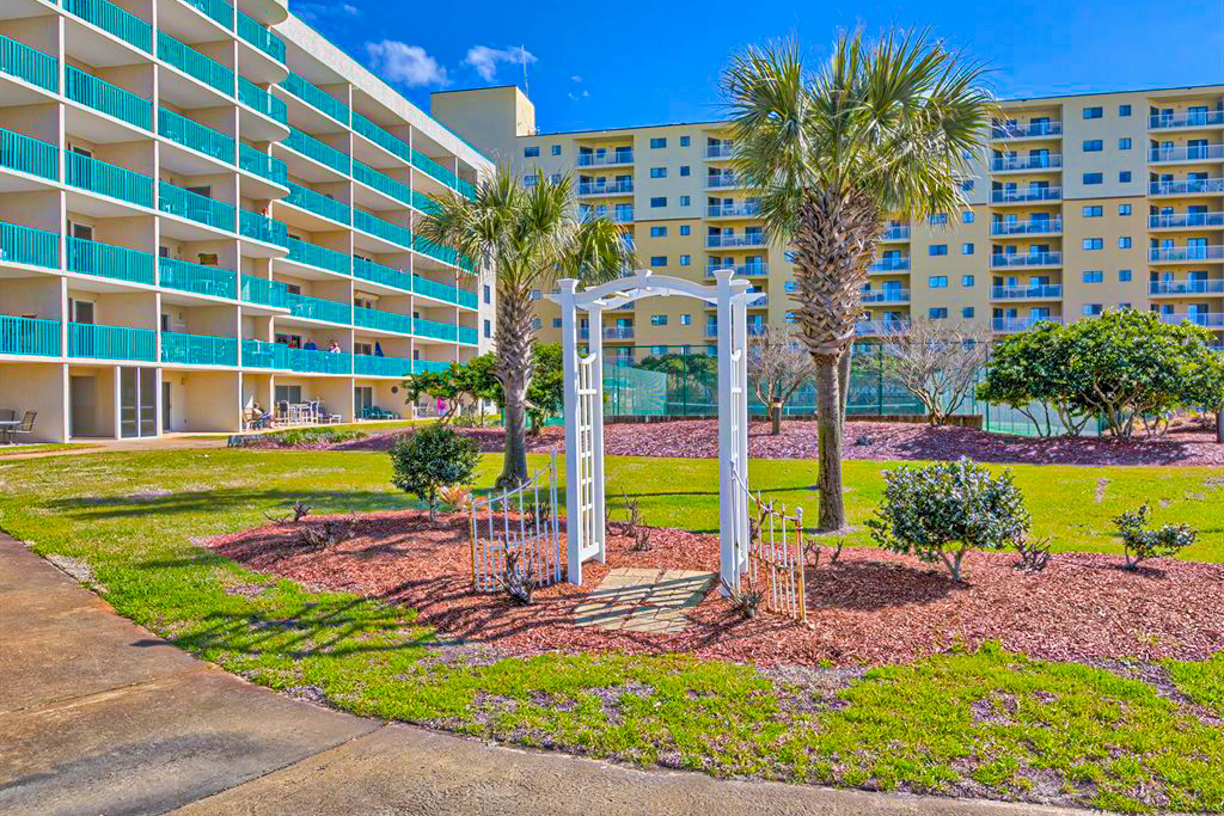 Plantation Palms #6503