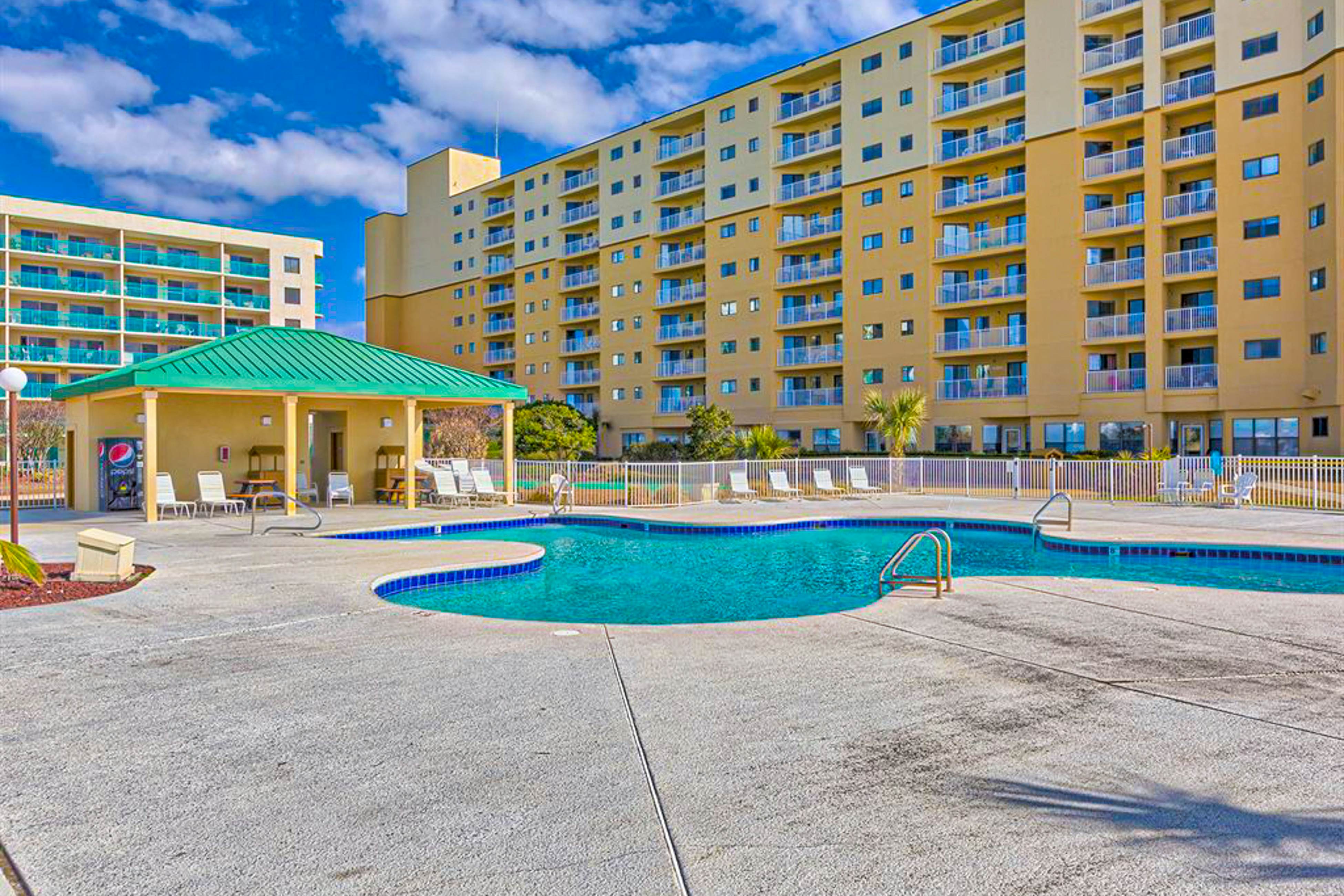 Plantation Palms #6503