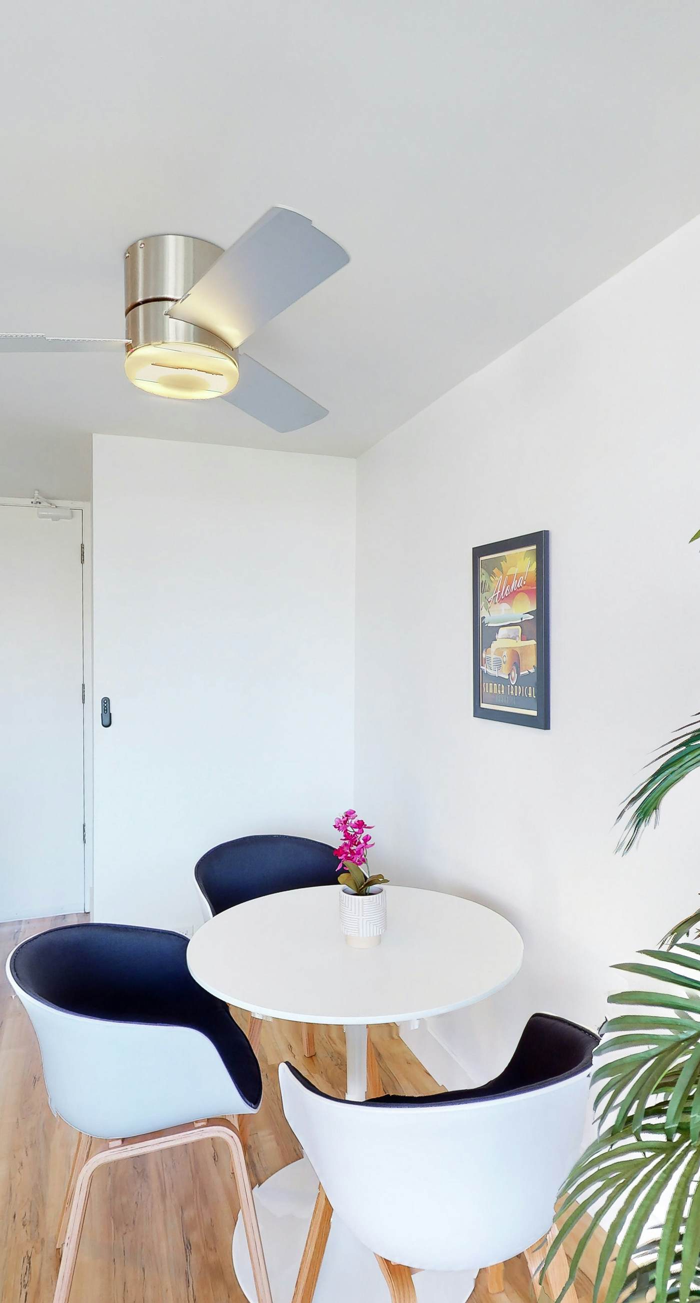 Island Colony 2020 Thirty plus night rental