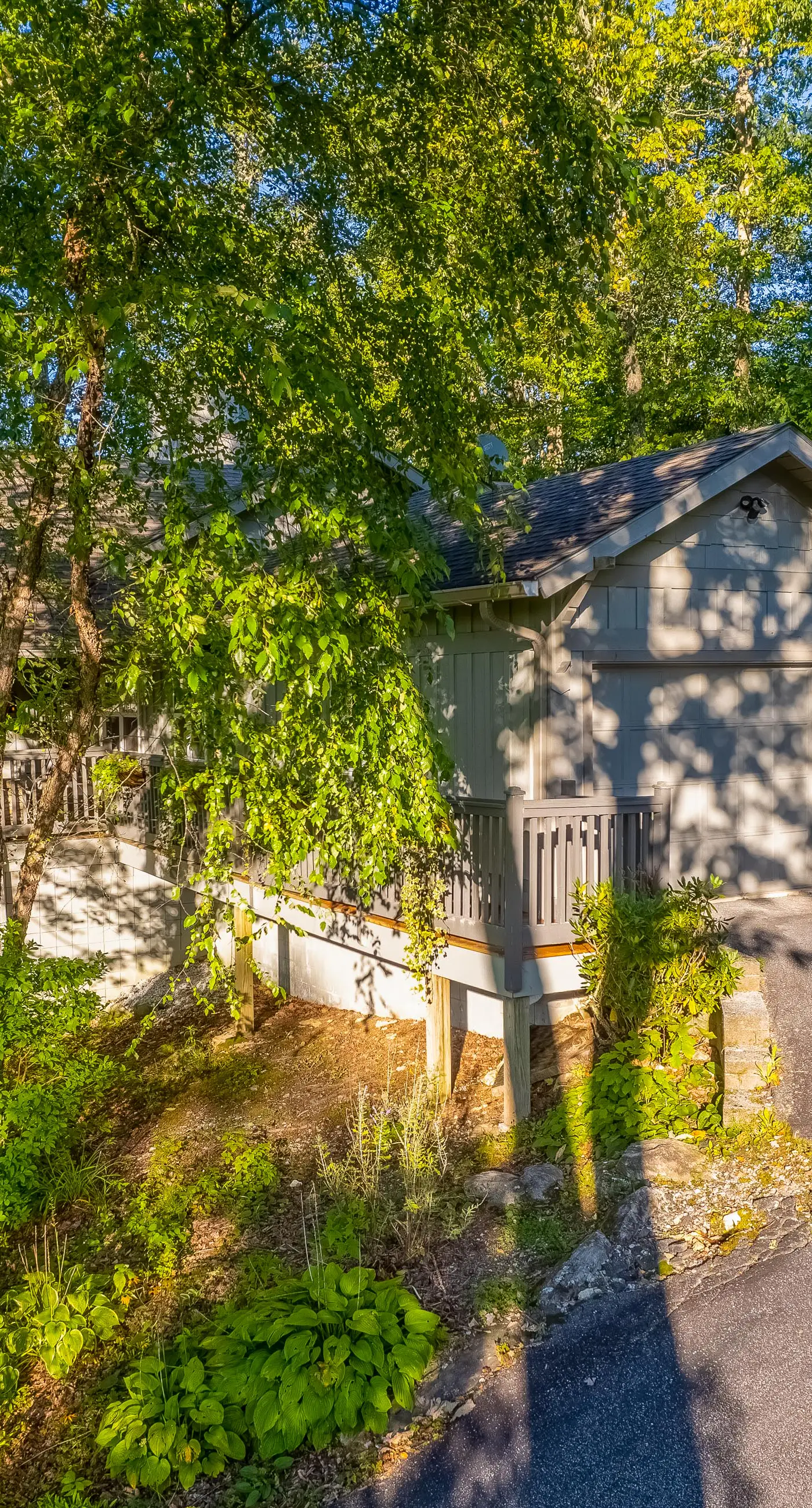 Carolina Cottage