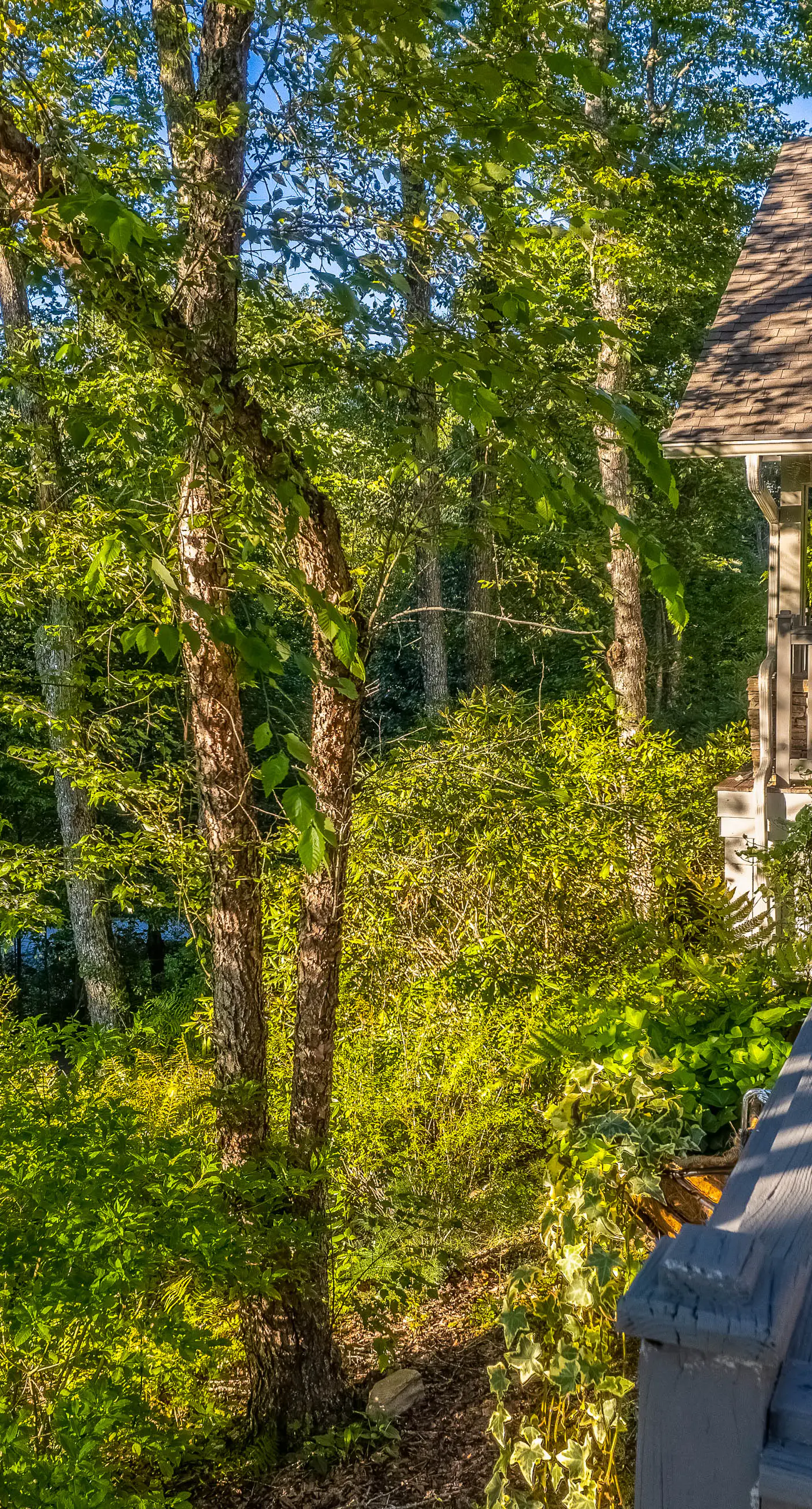 Carolina Cottage