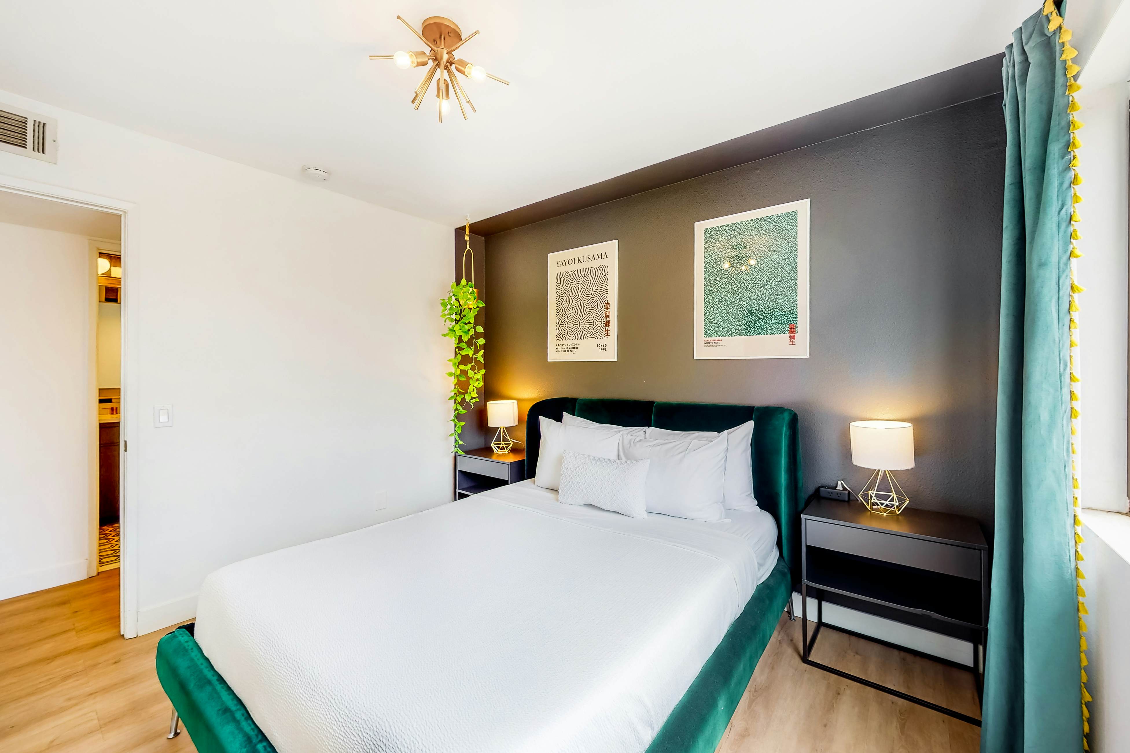 Sonoran Stunner - 50518