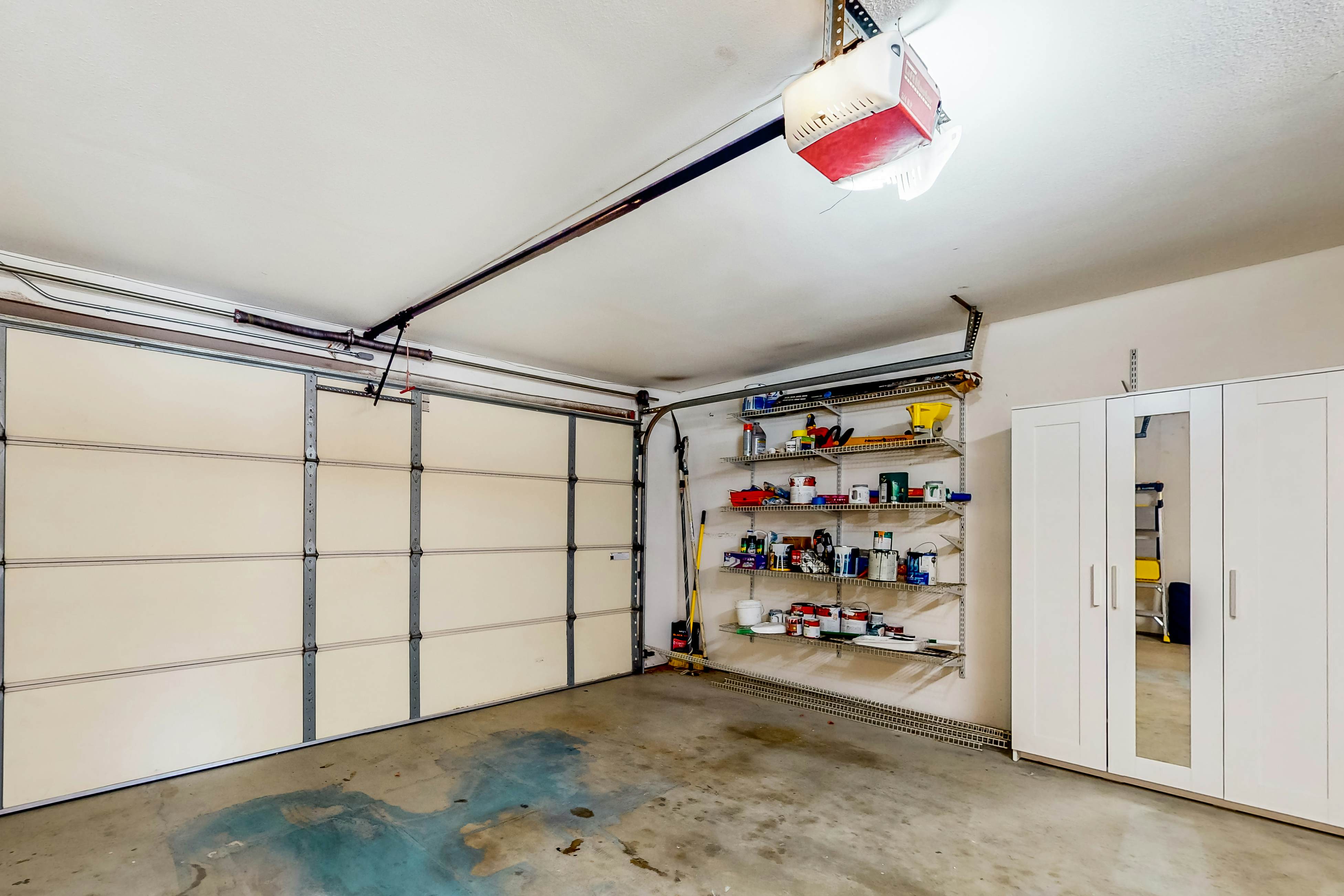 Sonoran Stunner - 50518