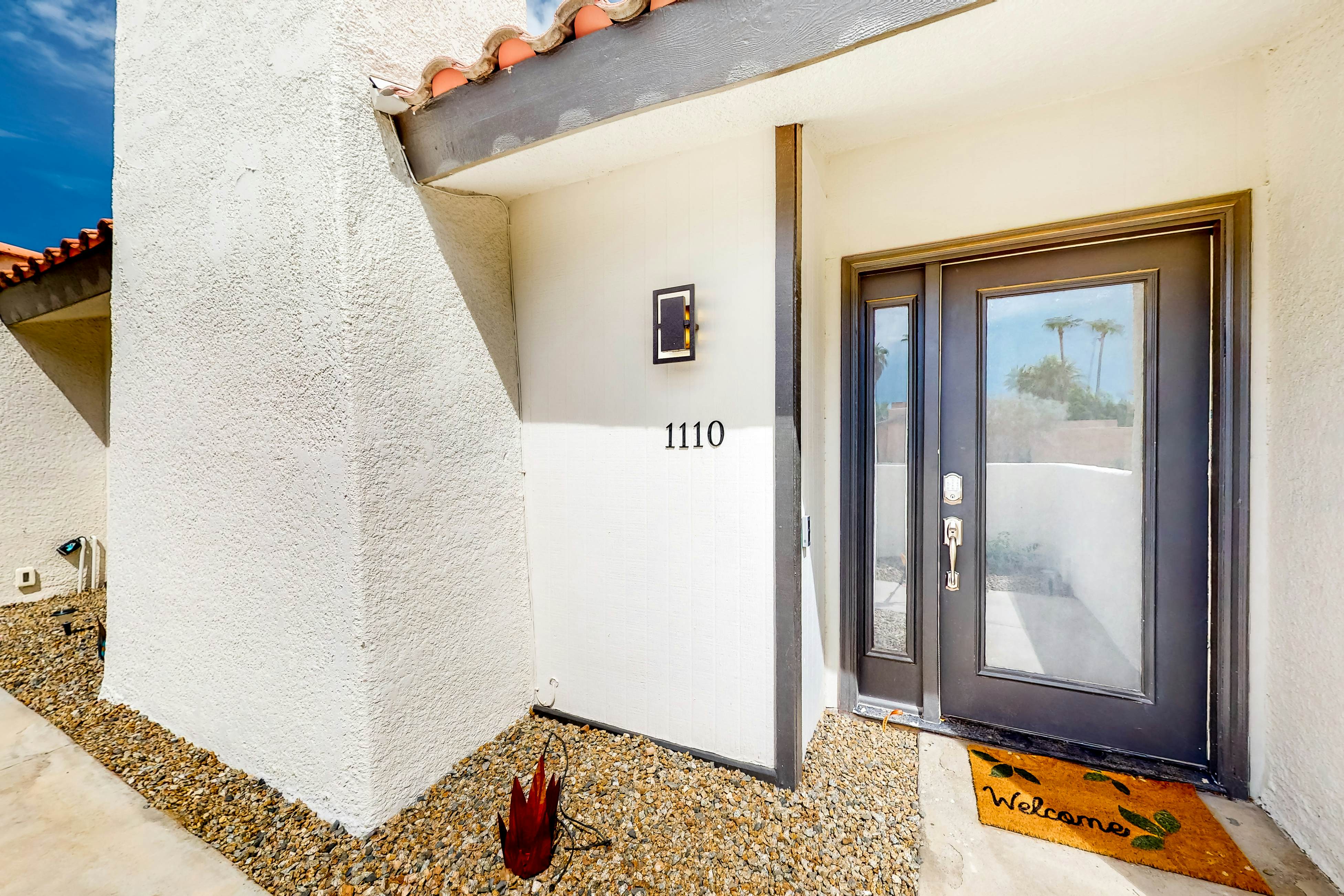 Sonoran Stunner - 50518