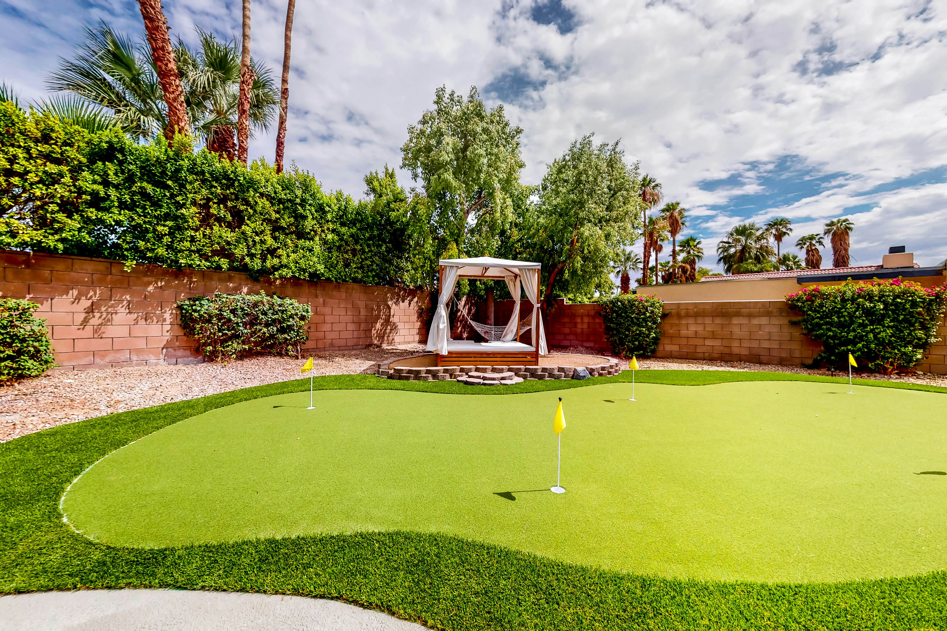 Sonoran Stunner - 50518