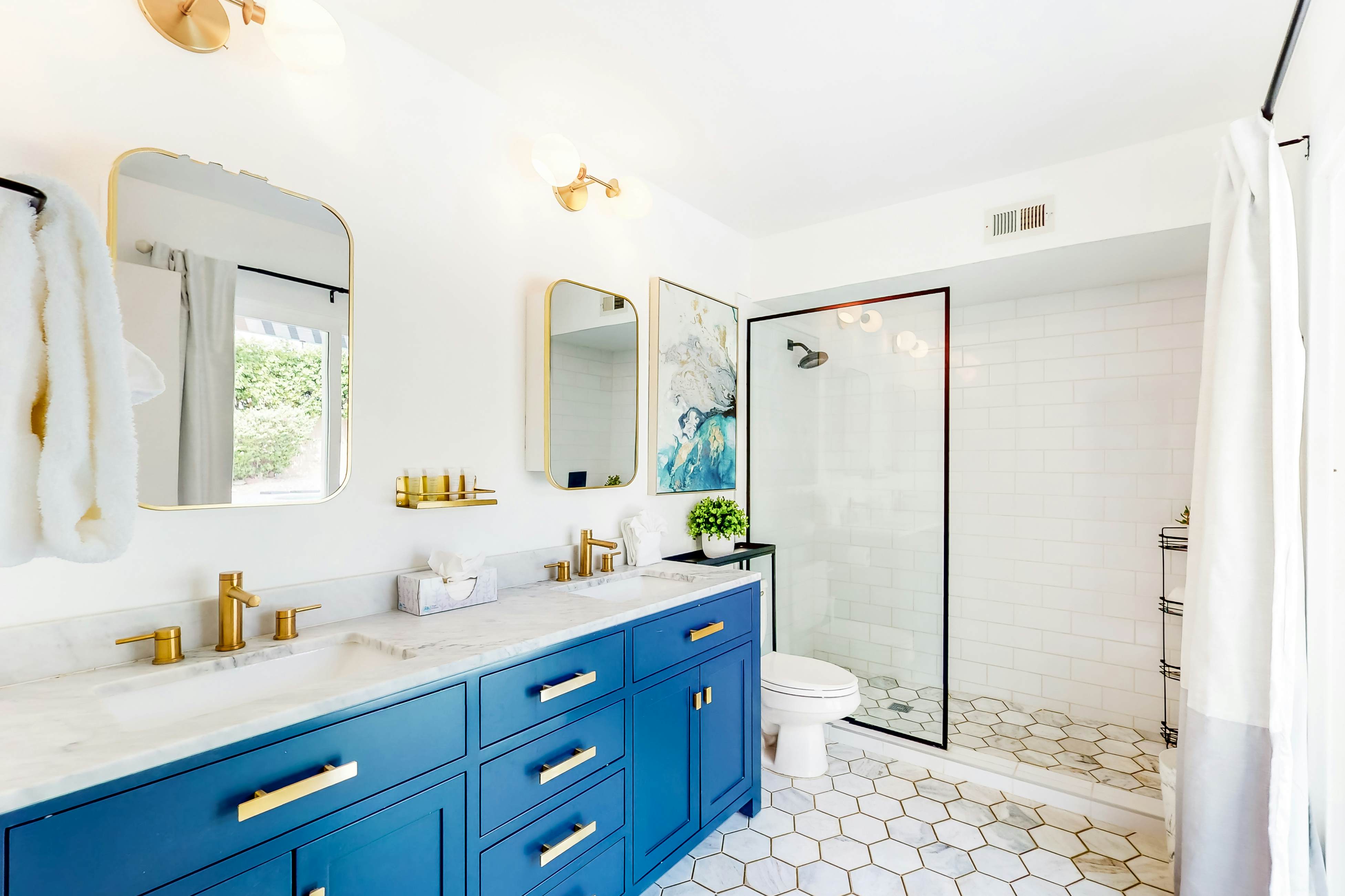 Sonoran Stunner - 50518