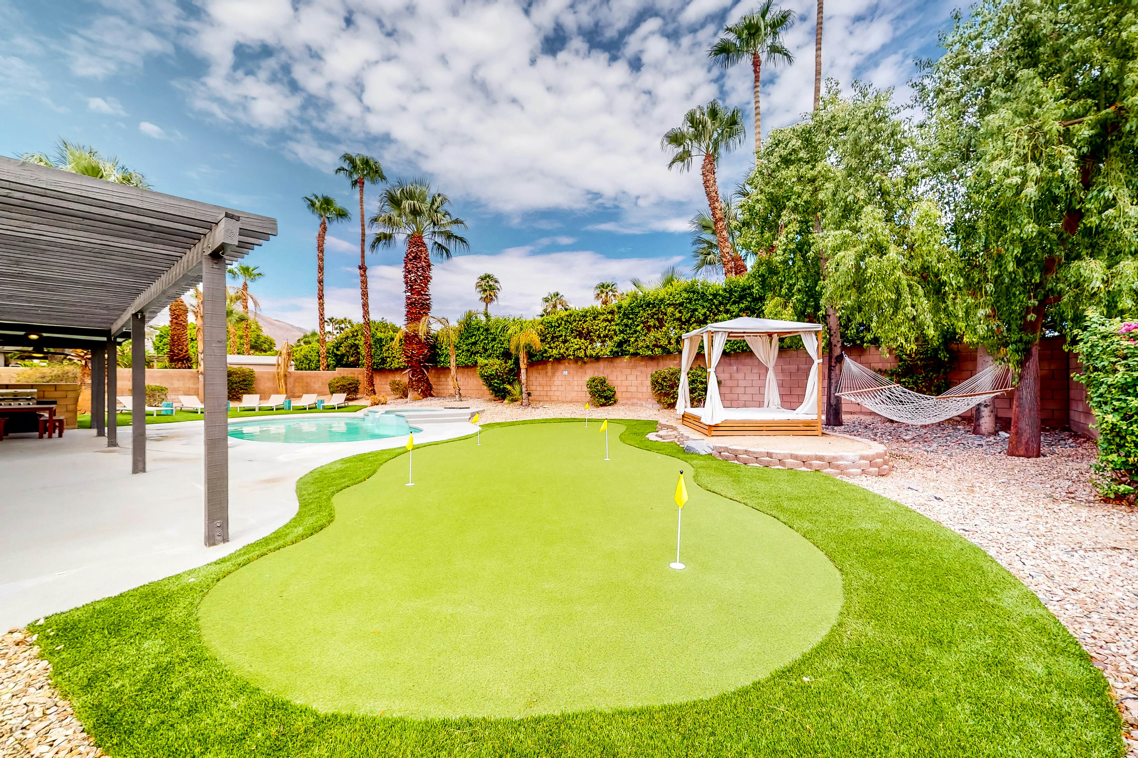 Sonoran Stunner - 50518