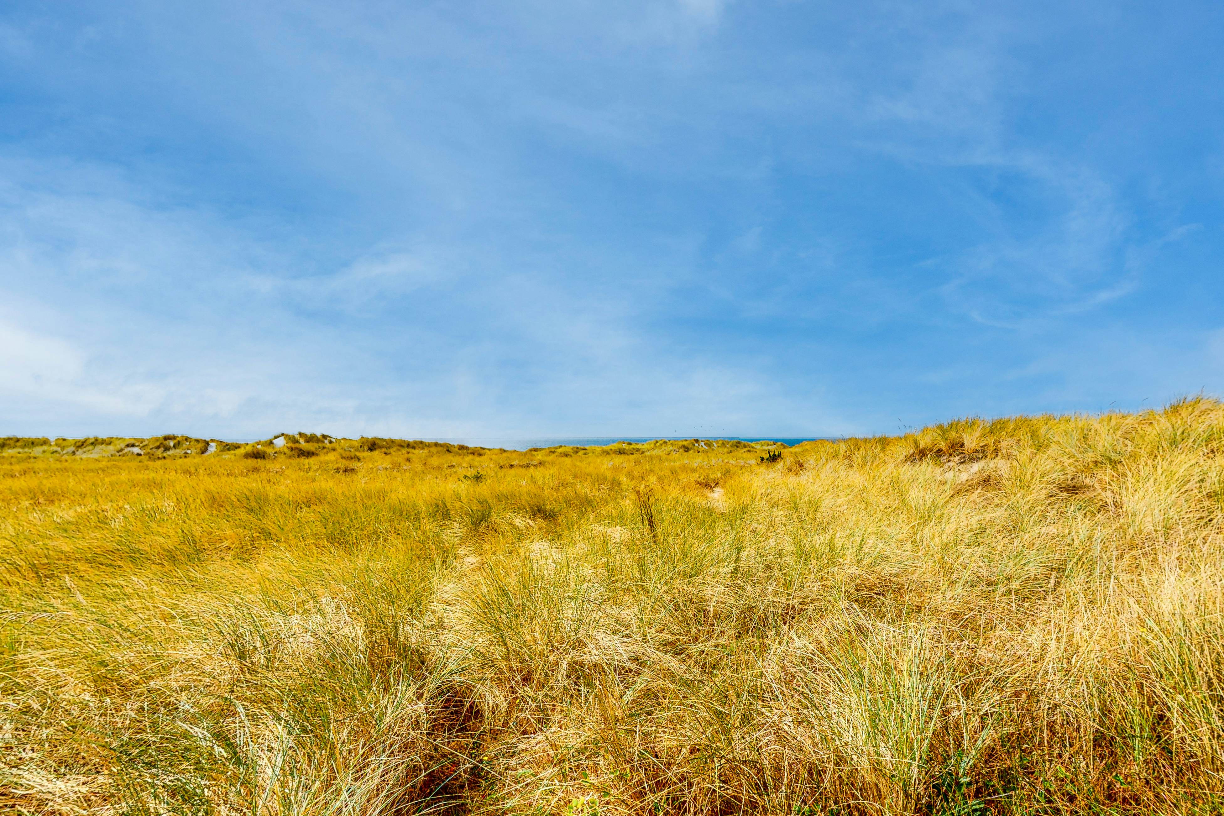 Sandy Shores - MCA 378