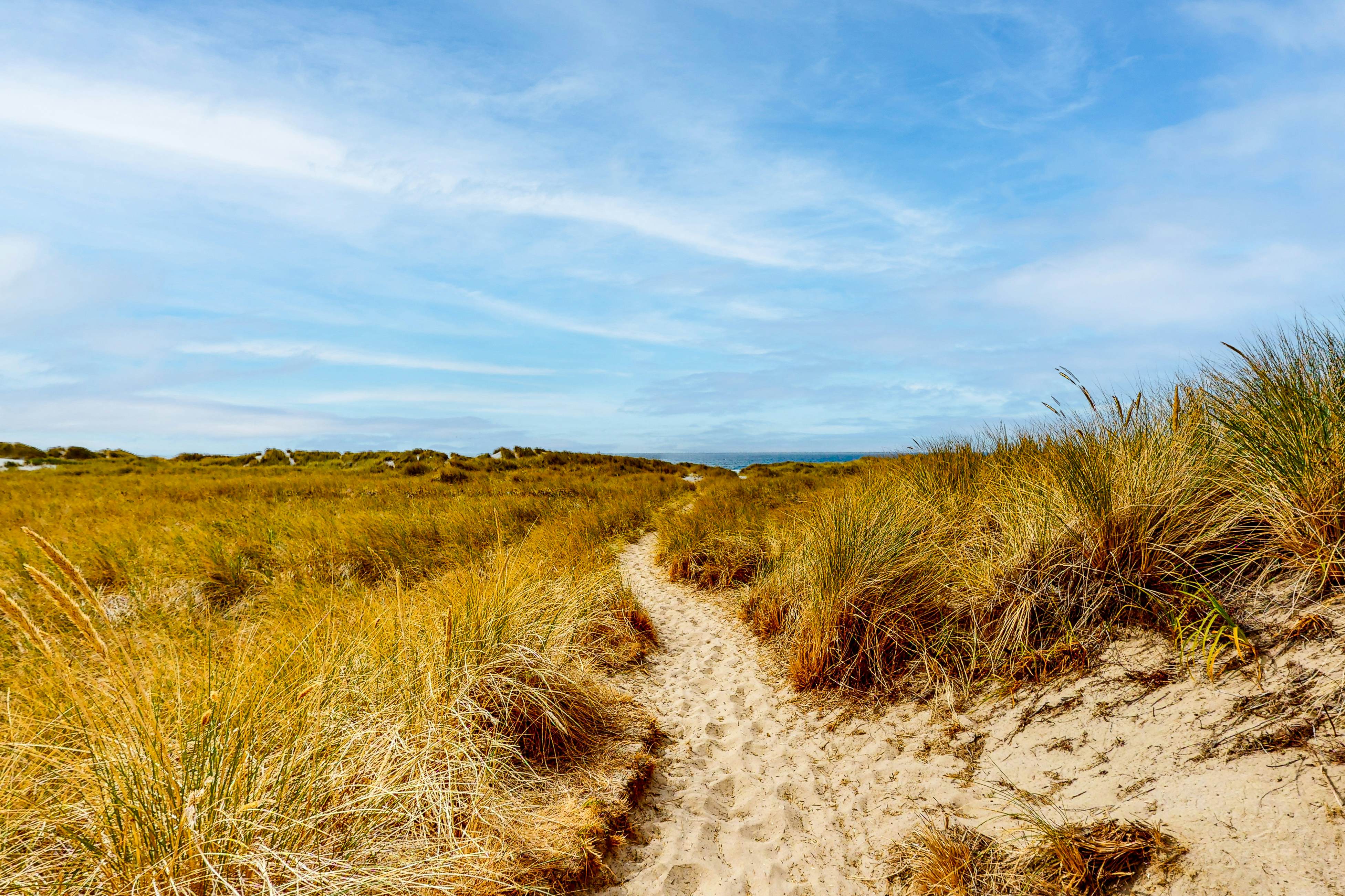 Sandy Shores - MCA 378