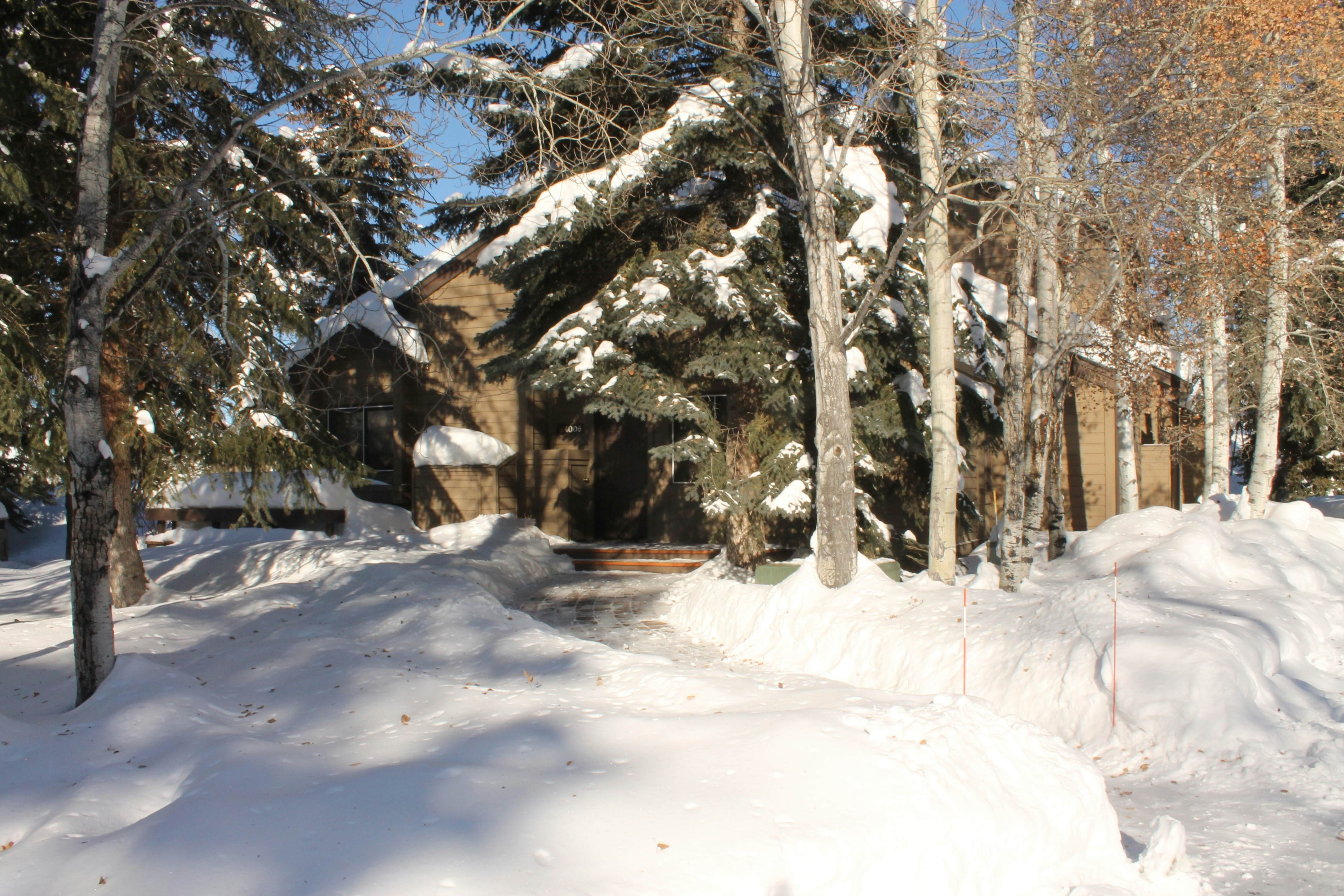 The Bluff Mountain Charmer