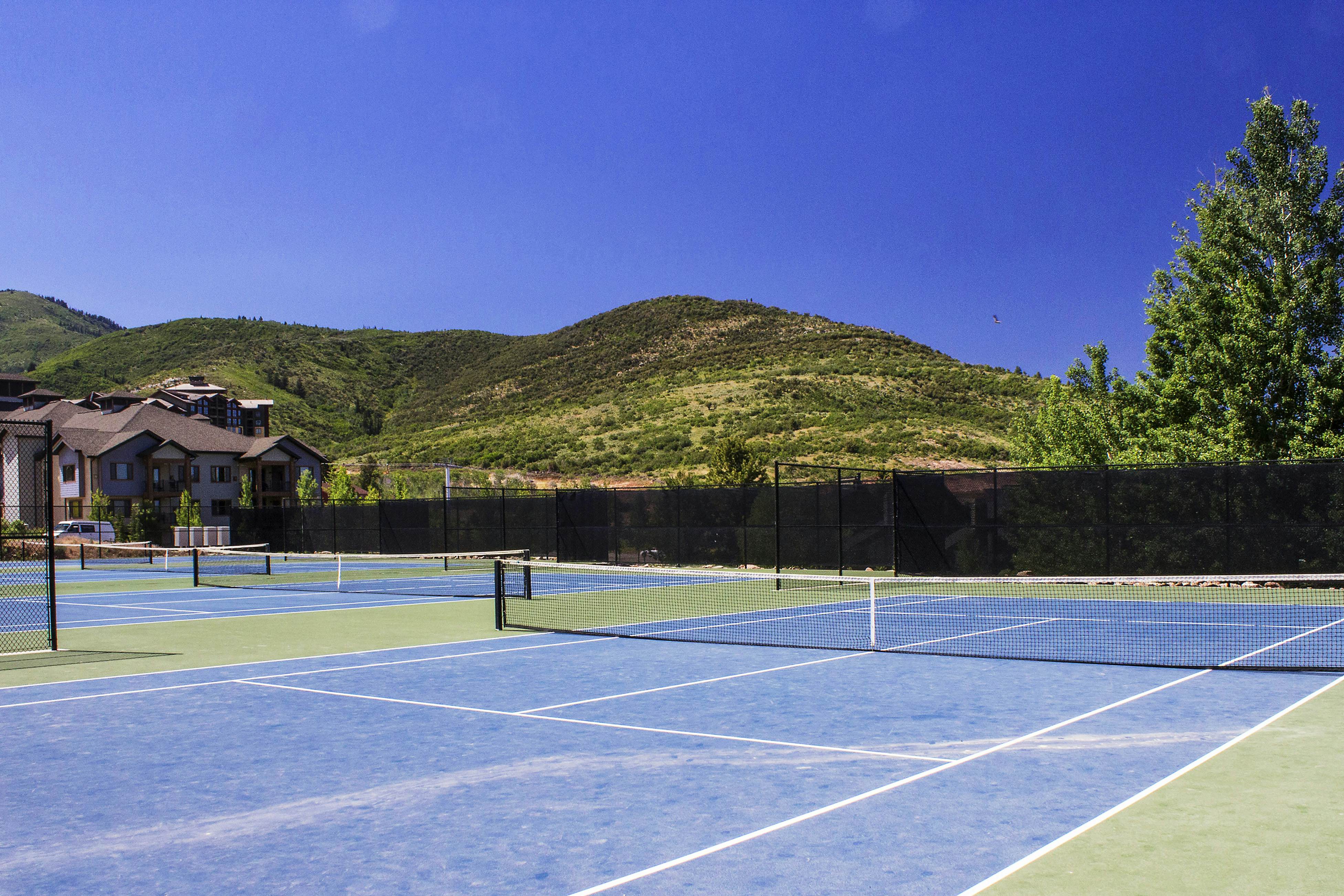 Red Pine Ponderosa #P3