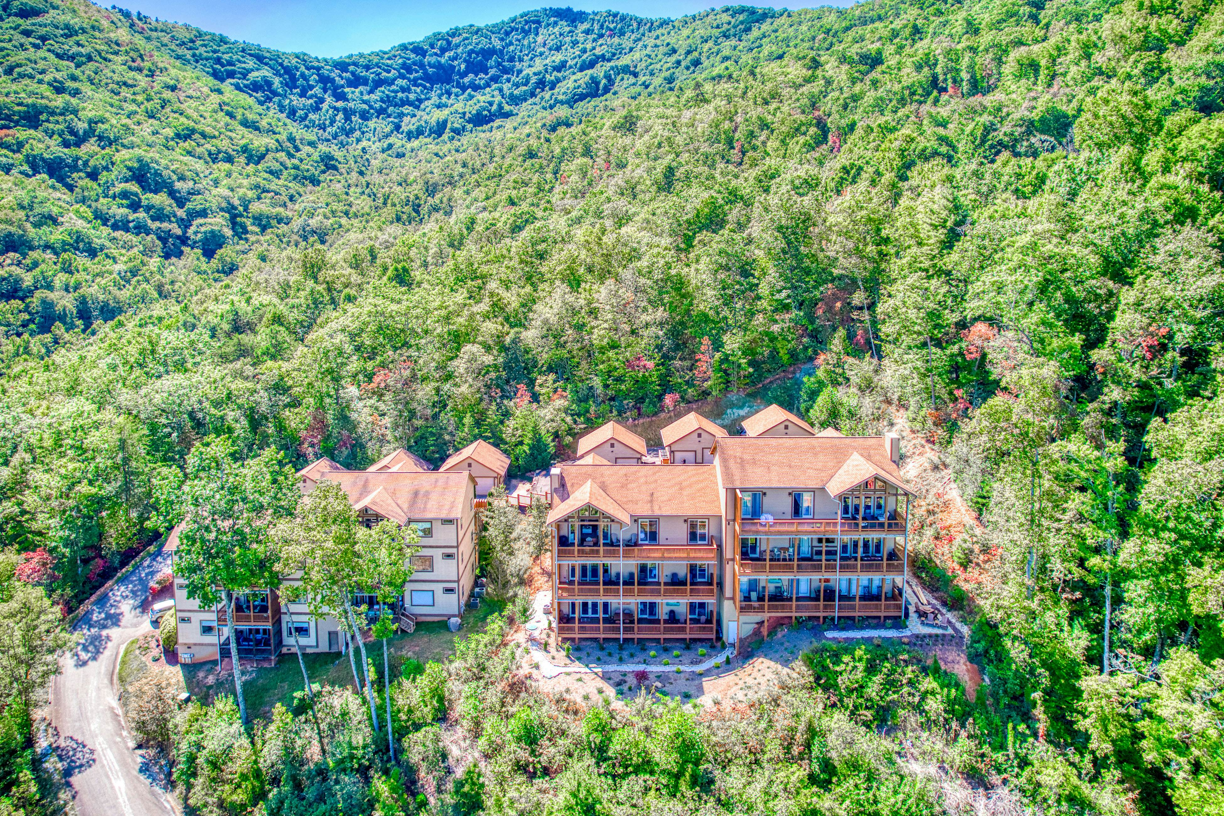 Altitude with Gratitude