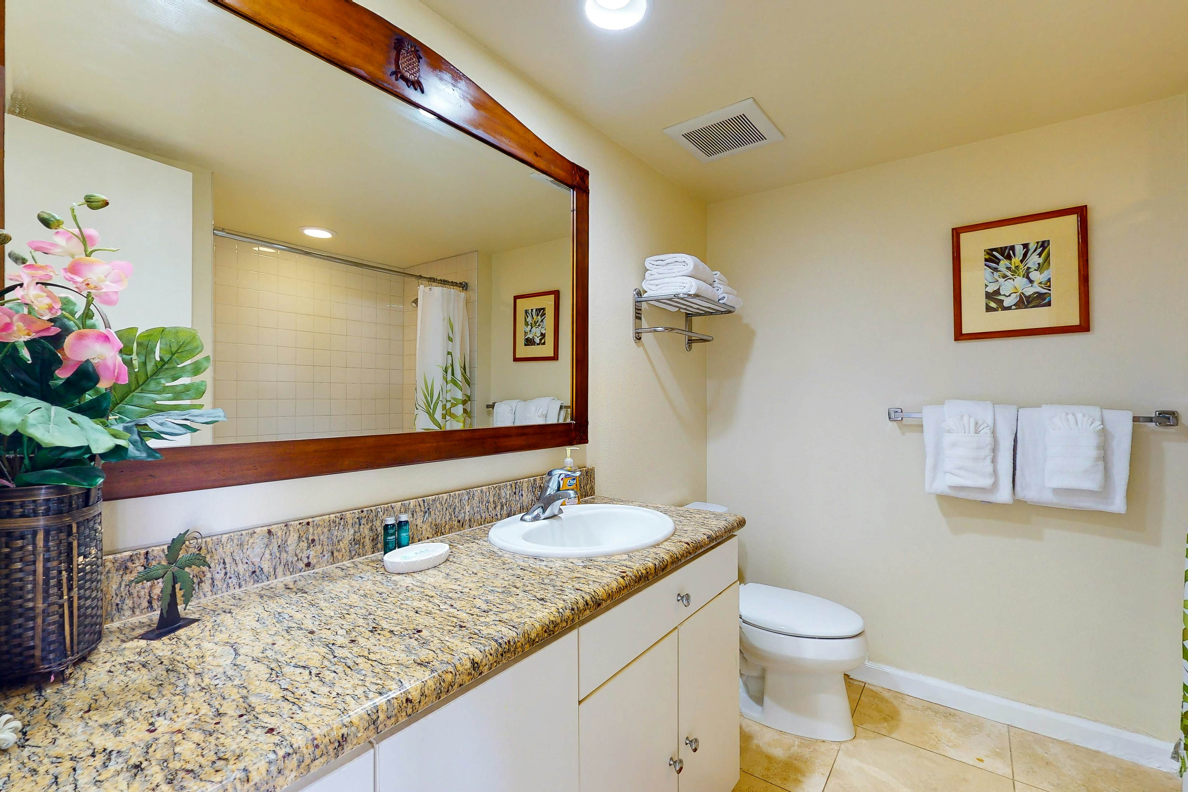 Islander on the Beach 339