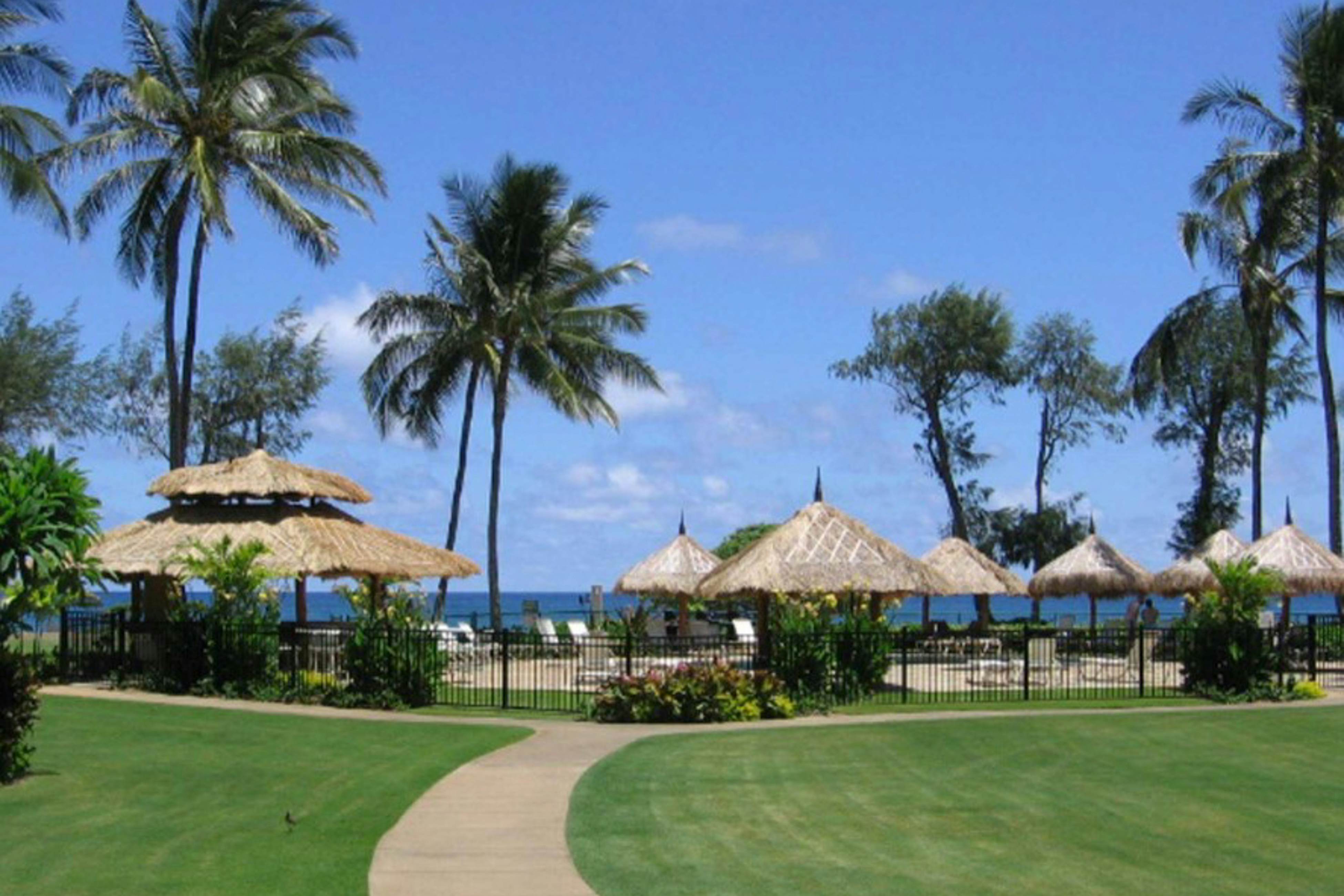 Islander on the Beach 353