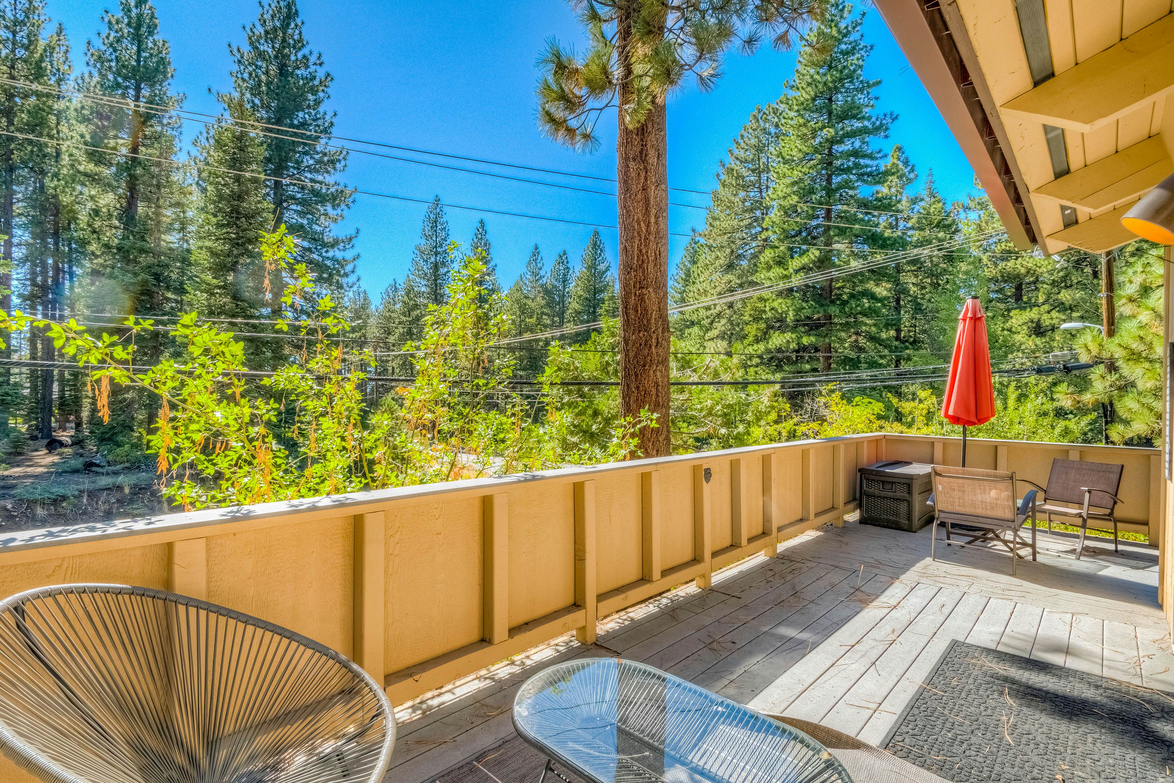 Incline Village Charmer