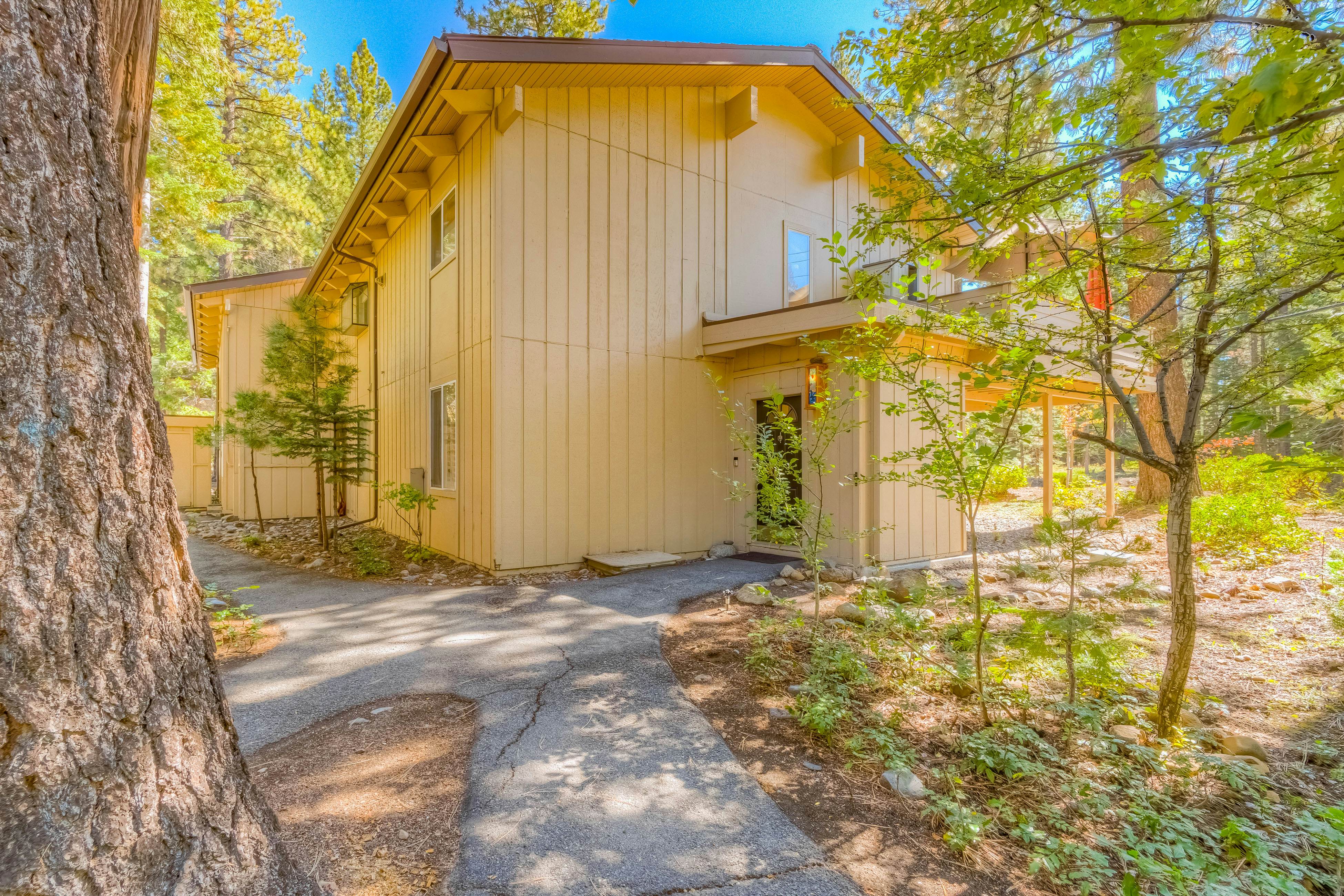 Incline Village Charmer