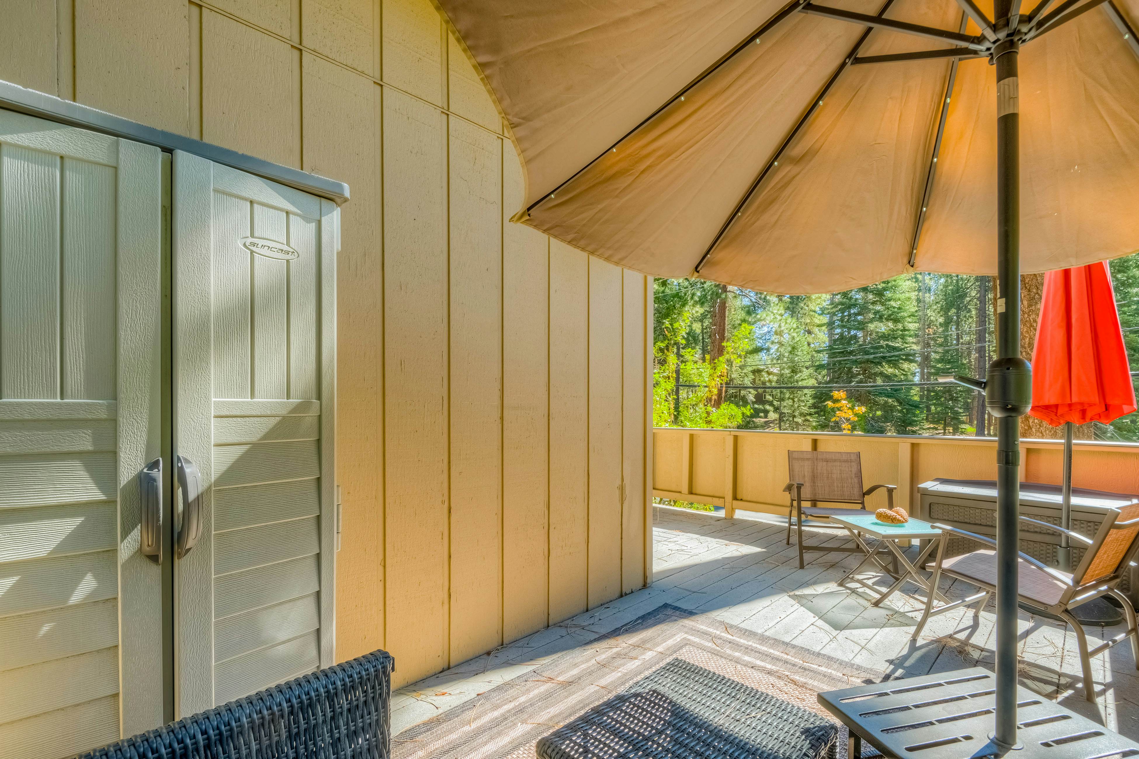 Incline Village Charmer