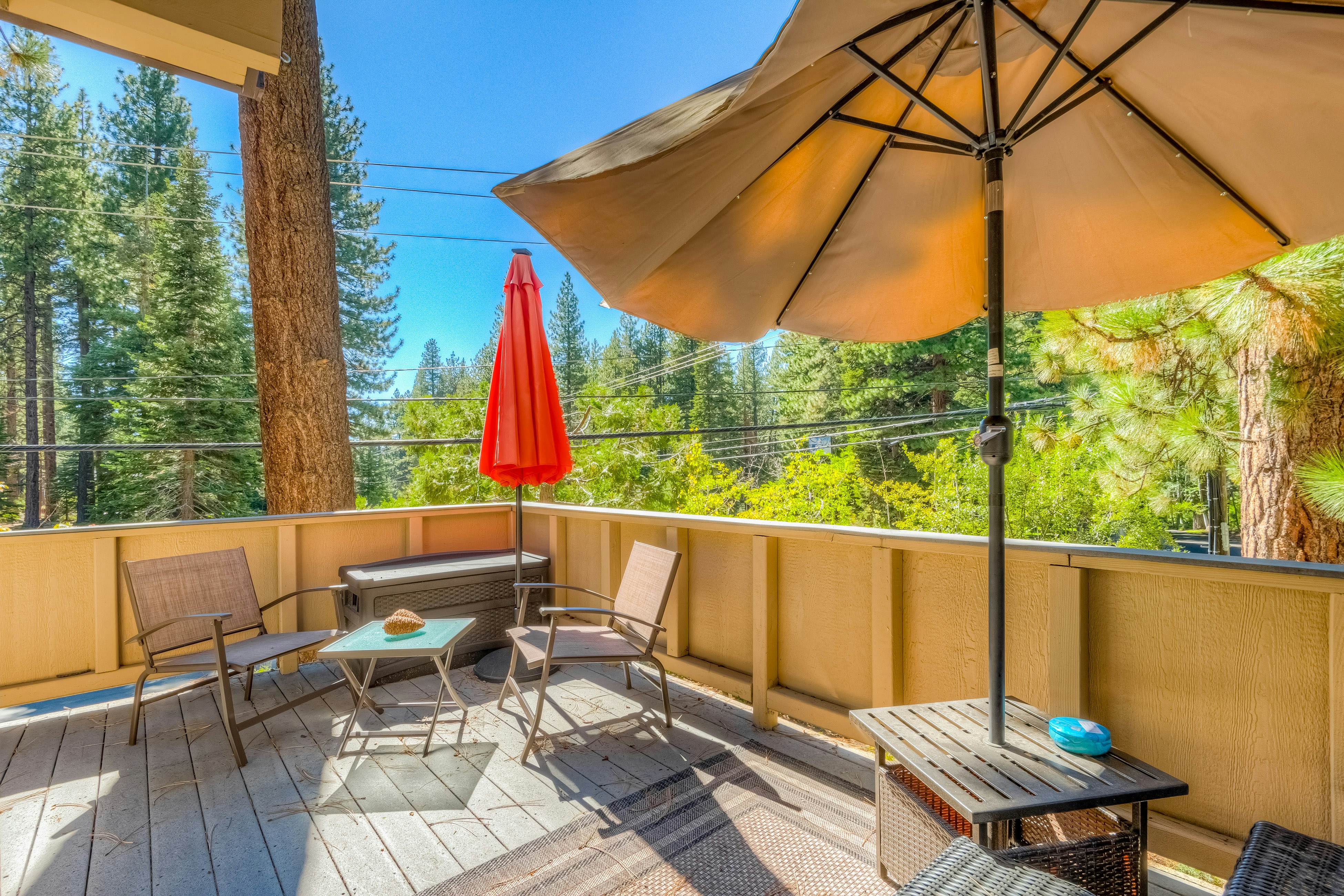 Incline Village Charmer