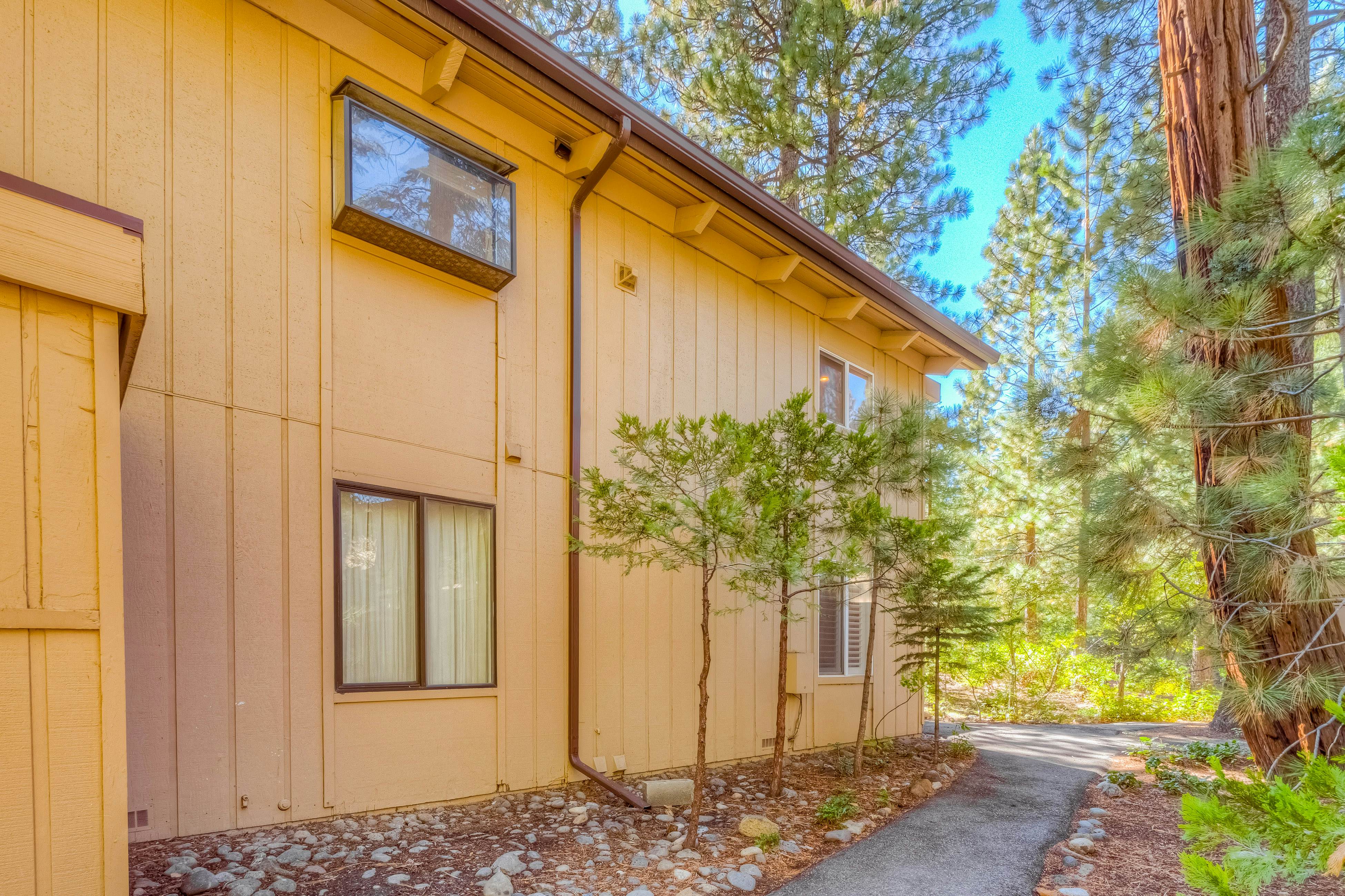 Incline Village Charmer