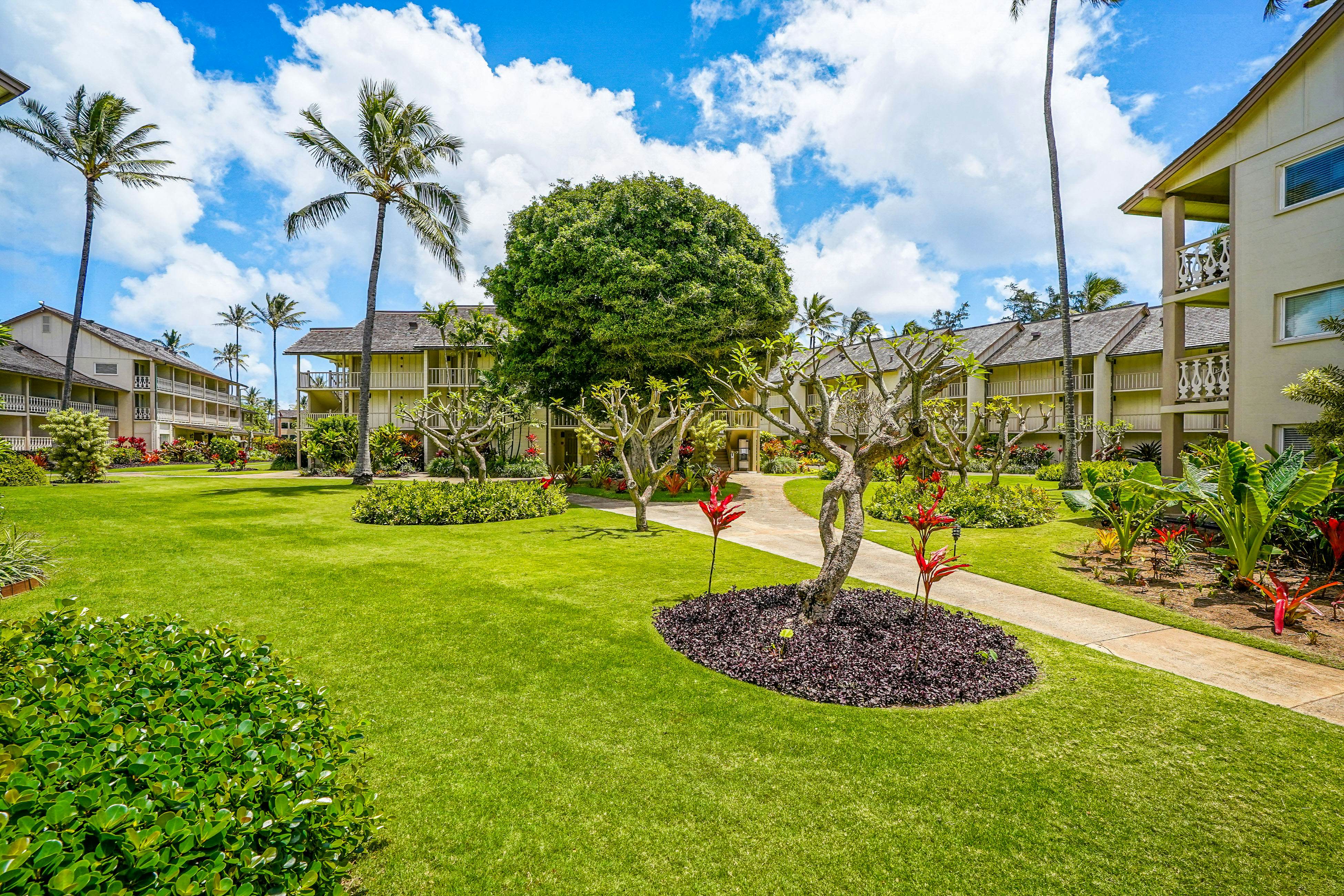 Islander on the Beach 367